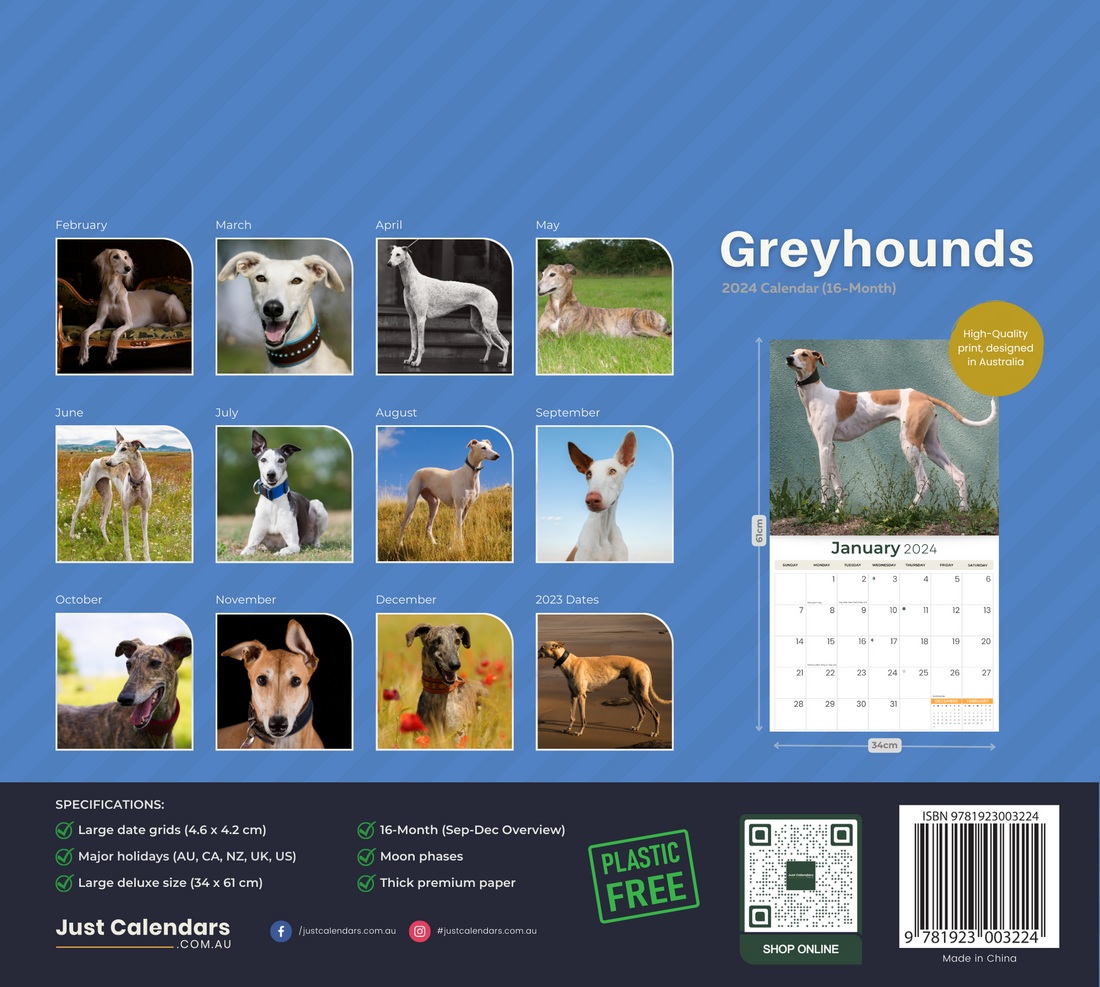 2024 Greyhounds Deluxe Wall Calendar Dogs & Puppies Calendars By