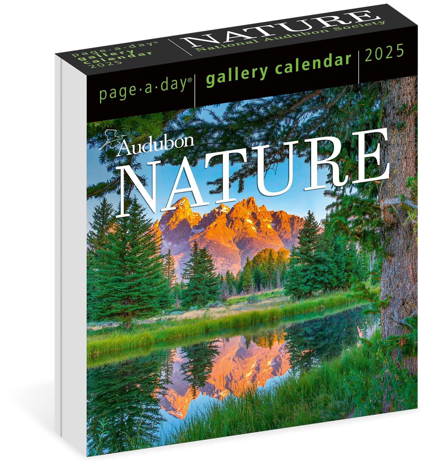 2025 Audubon Nature - Daily Boxed Page-A-Day Calendar