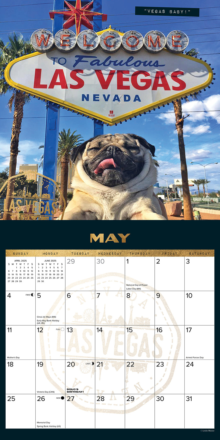 2025 Doug the Pug (w/foil) - Square Wall Calendar (US Only)