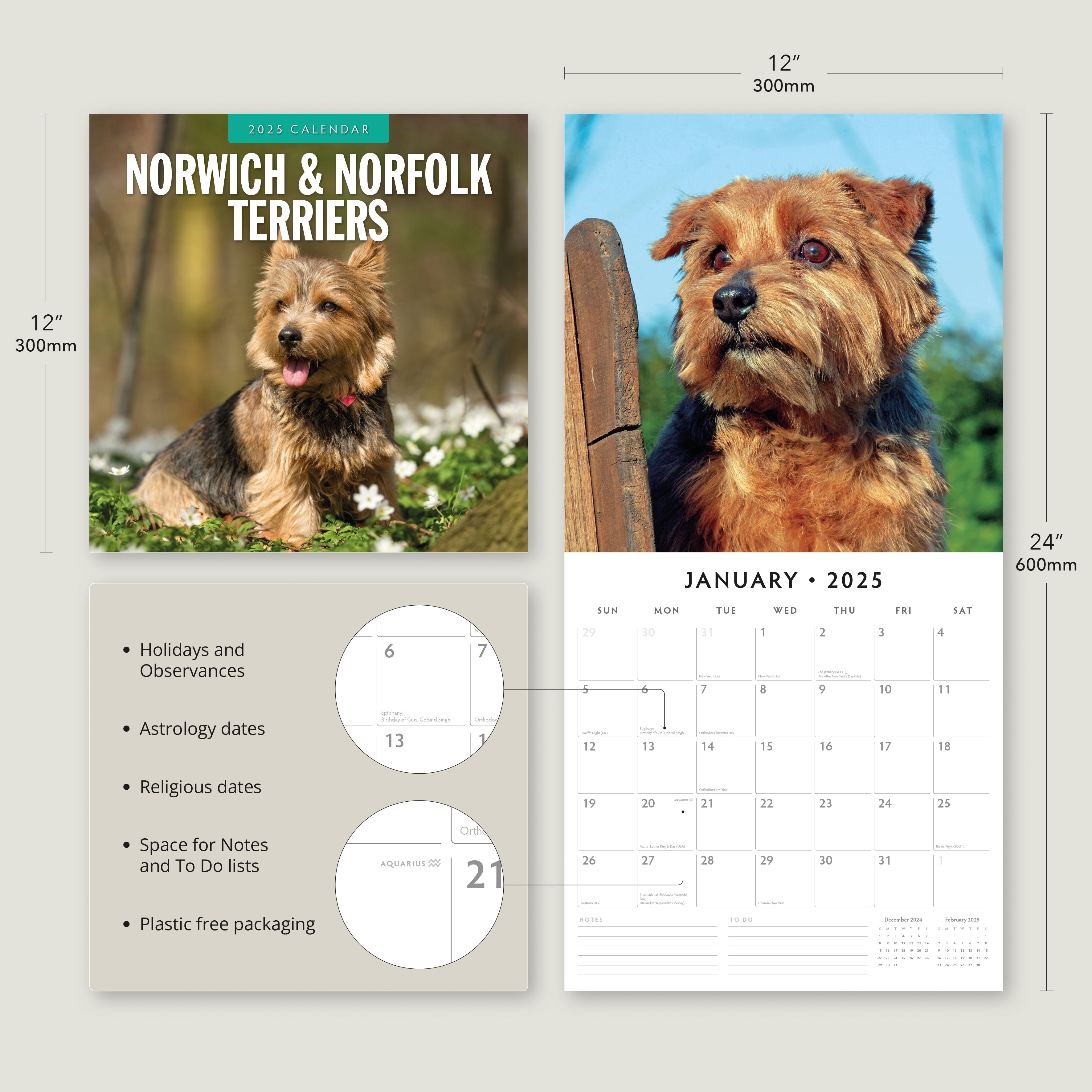 2025 Norwich & Norfolk Terriers - Square Wall Calendar