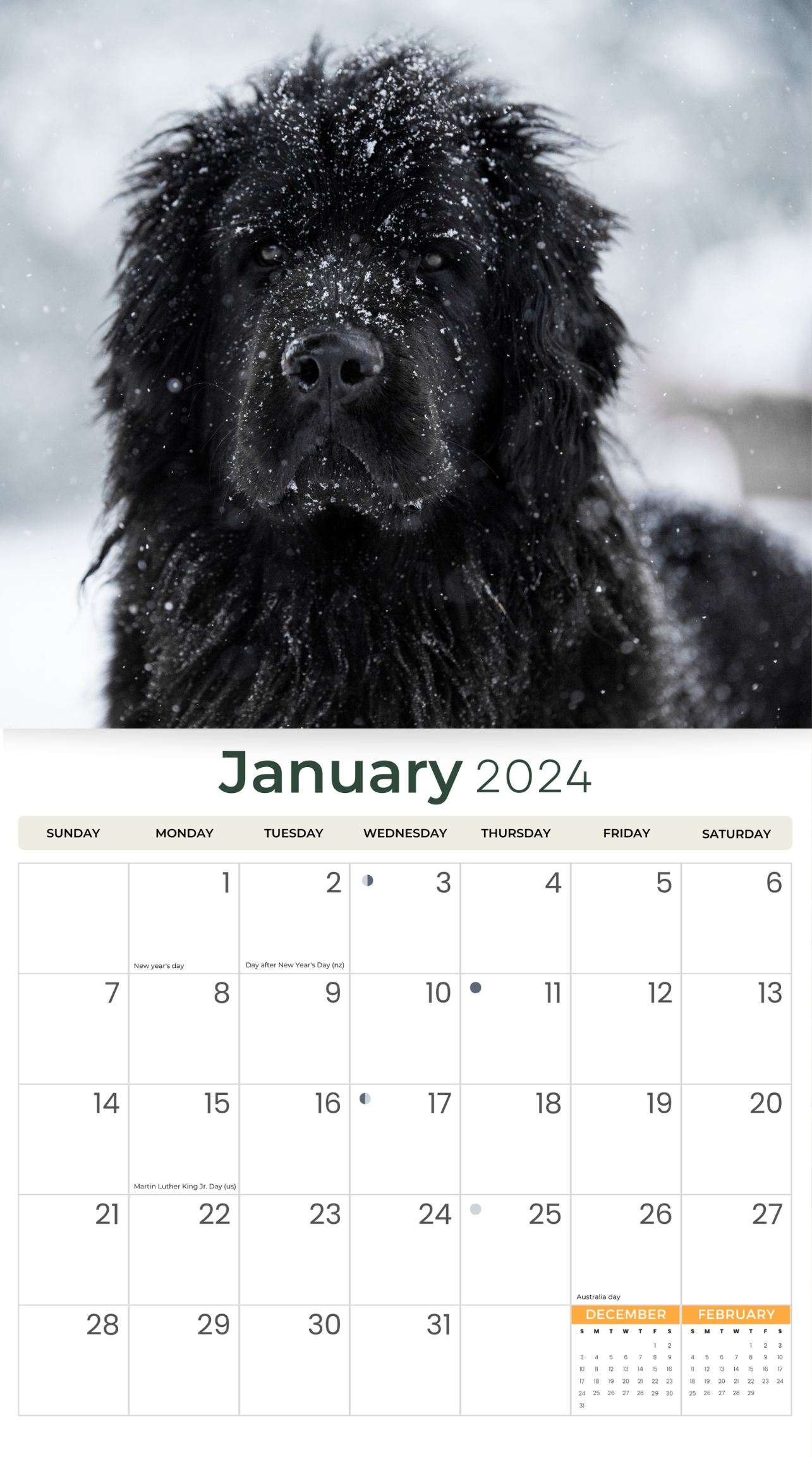 2024 Newfoundlands - Deluxe Wall Calendar