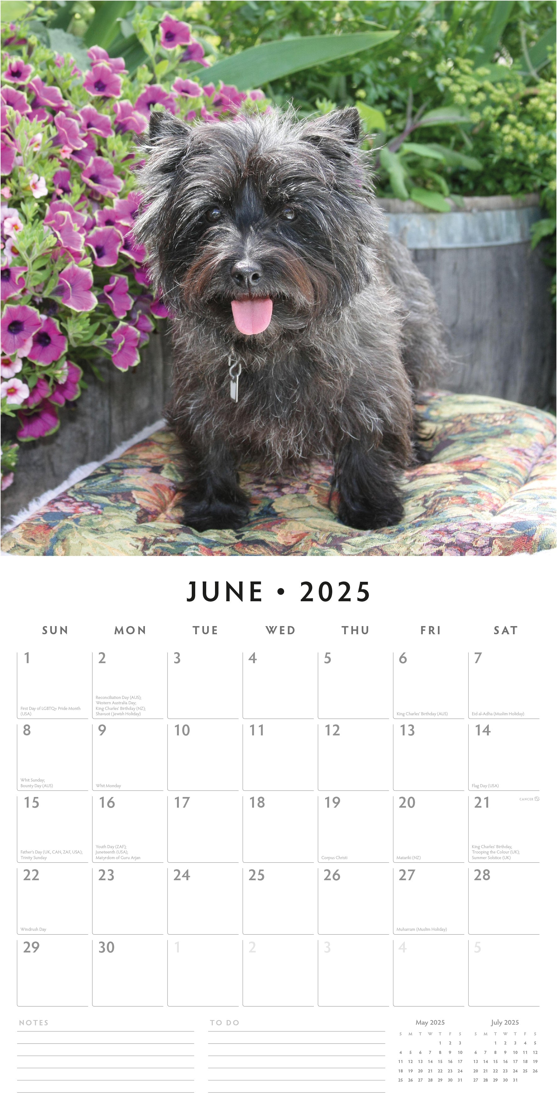 2025 Cairn Terriers - Square Wall Calendar