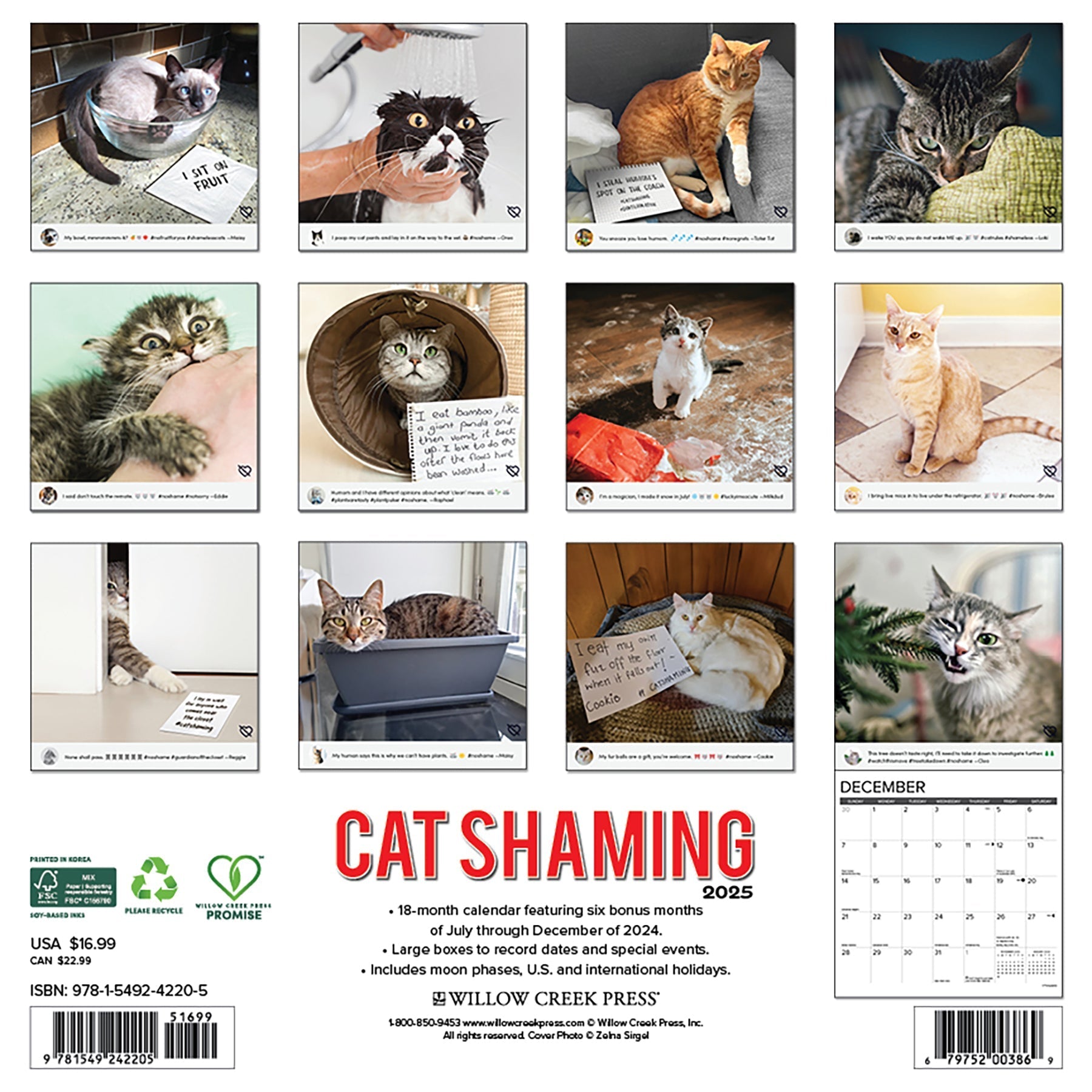 2025 Cat Shaming - Square Wall Calendar (US Only)