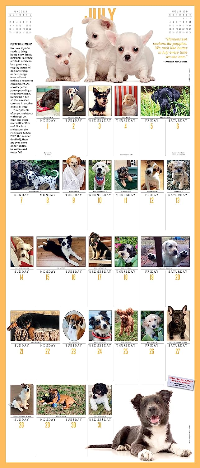 2024 365 PuppiesAYear Deluxe Wall Calendar