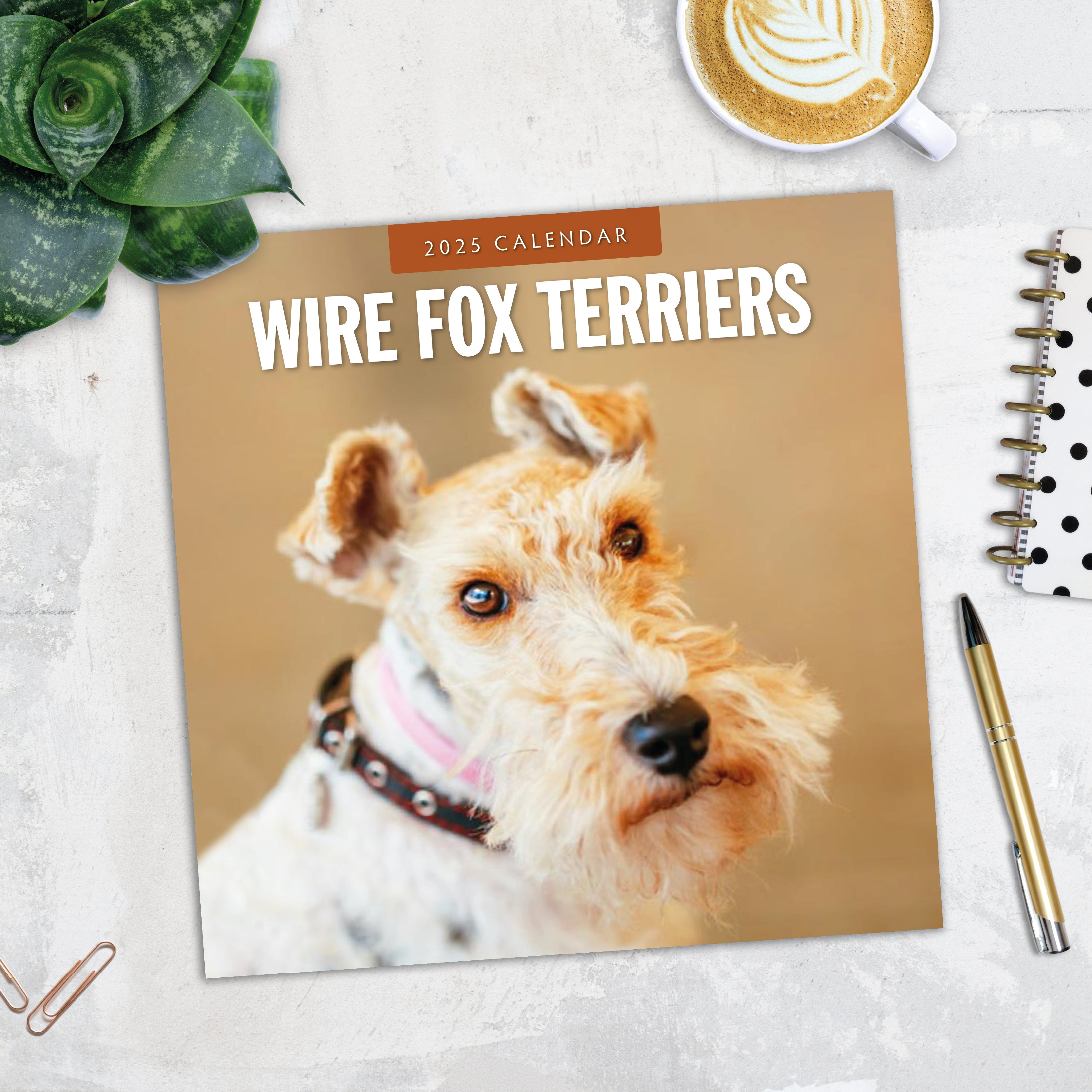 2025 Wire Fox Terriers - Square Wall Calendar