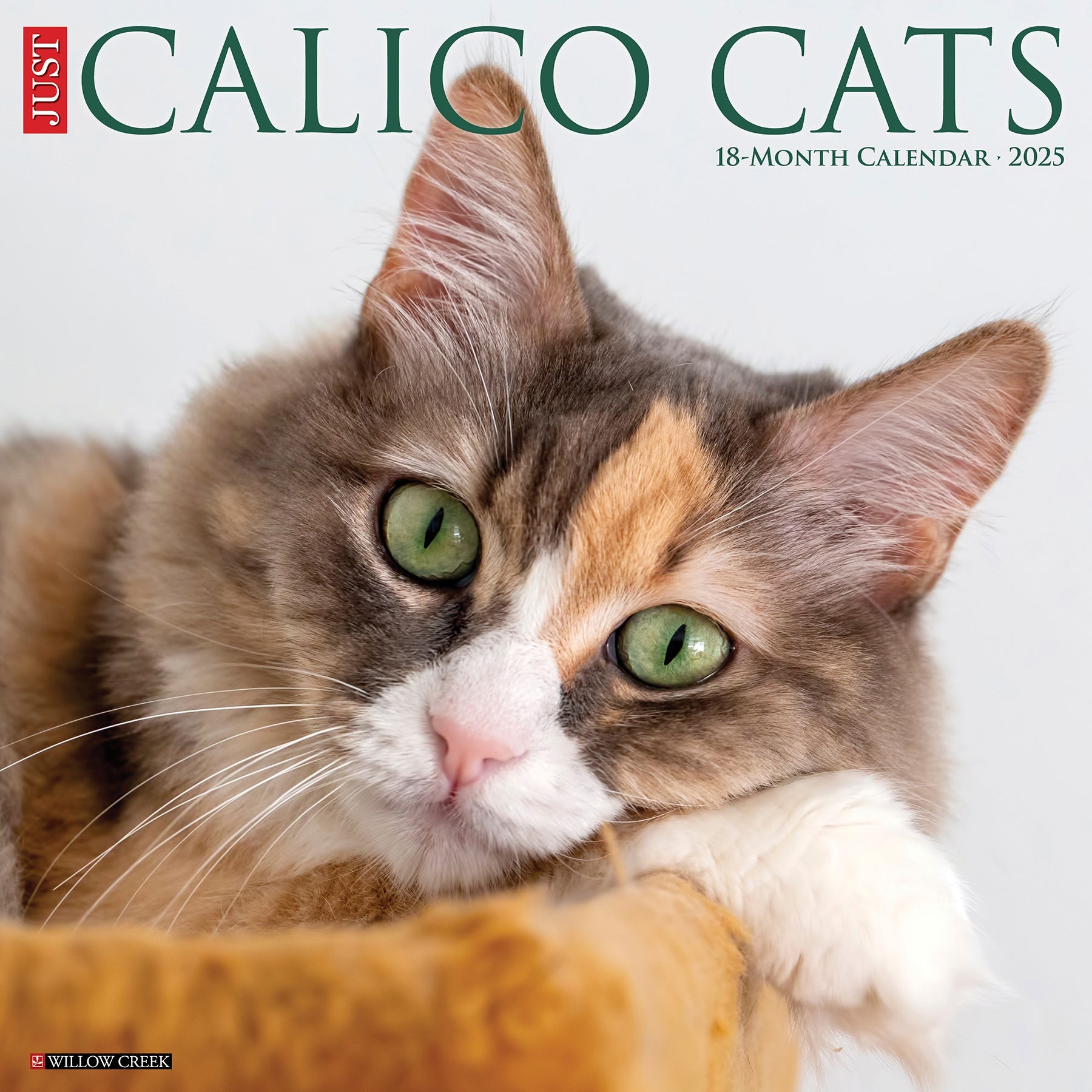 2025 Calico Cats - Square Wall Calendar (US Only)