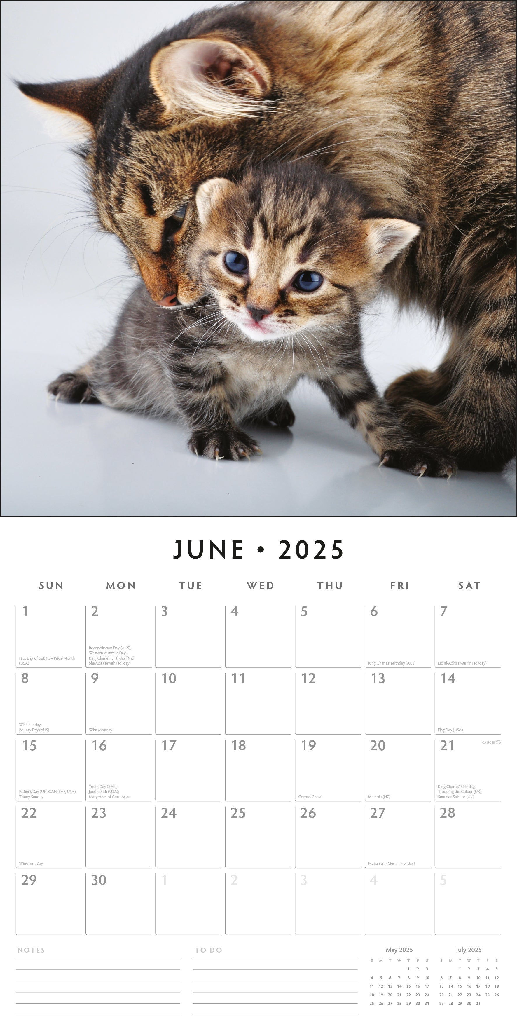 2025 Adorable Cats - Square Wall Calendar