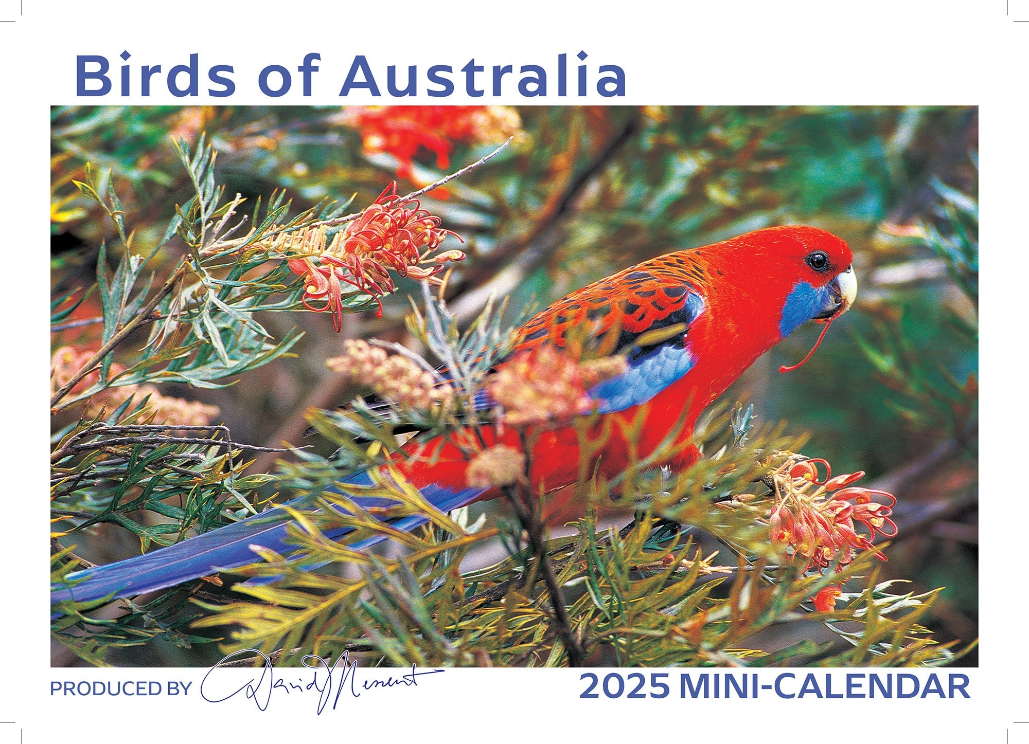 2025 Mini Birds of Australia By David Messent - Mini Pocket Calendar