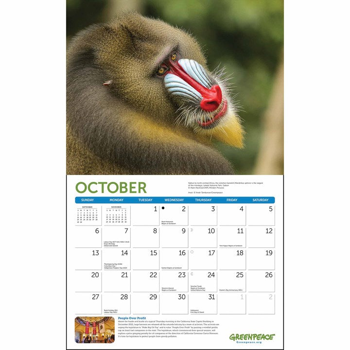 2024 Greenpeace - Deluxe Wall Calendar  SOLD OUT