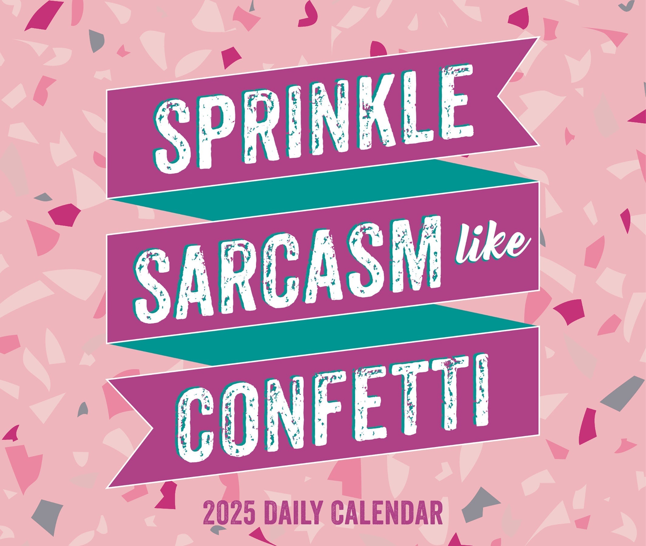 2025 Sprinkle Sarcasm Like Confetti - Daily Boxed Page-A-Day Calendar (US Only)