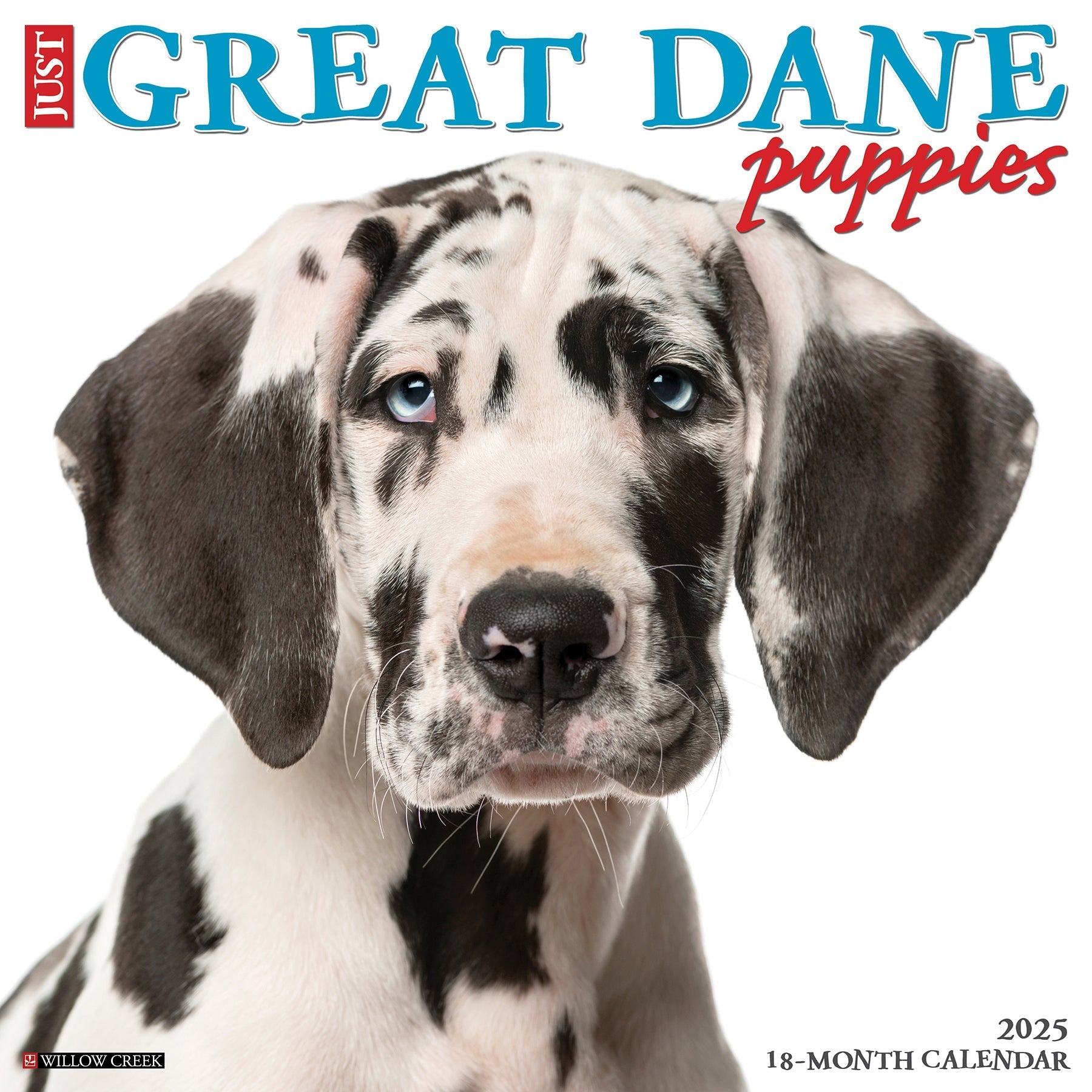 2025 Great Dane Puppies - Square Wall Calendar (US Only)