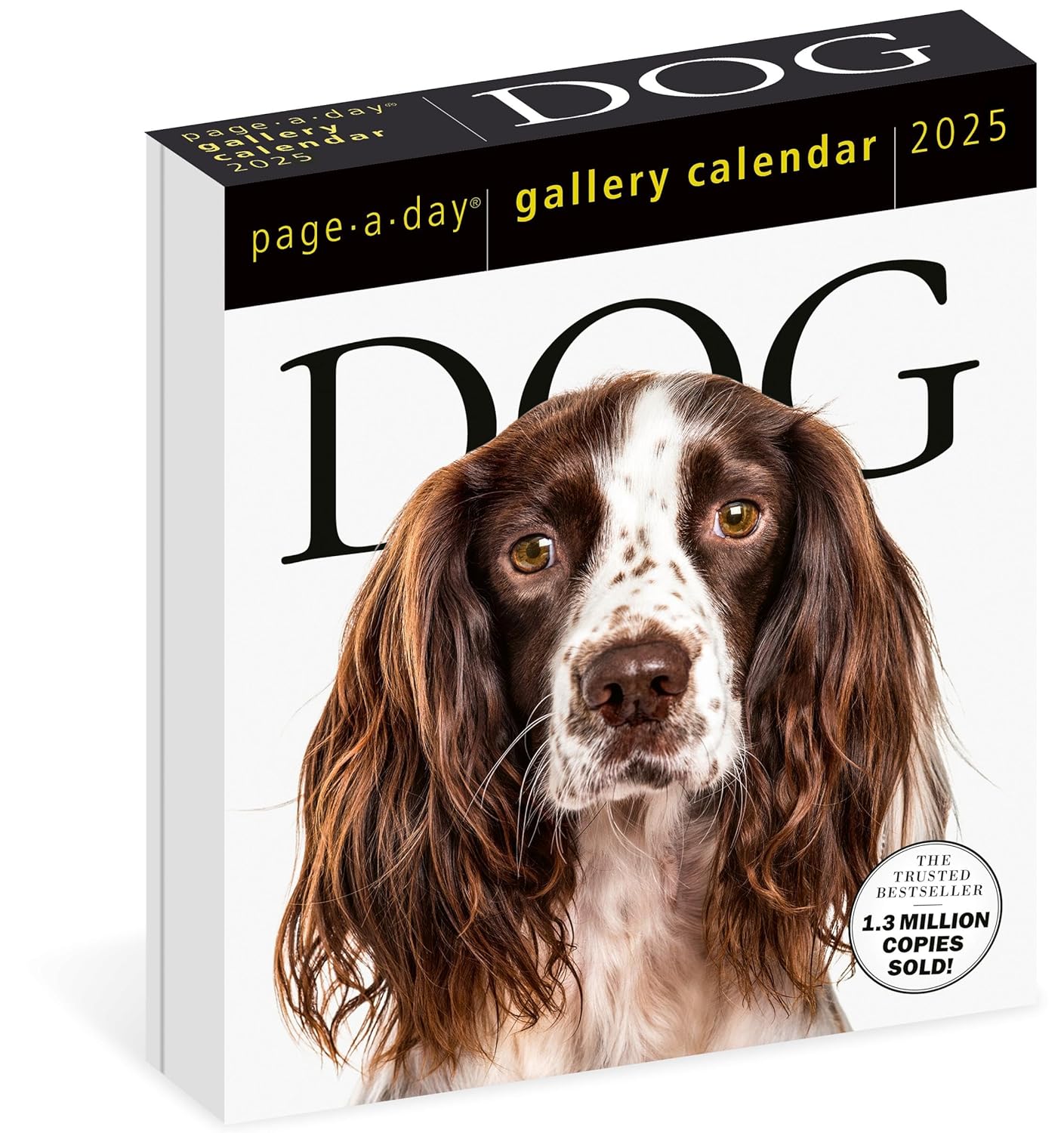 2025 Dog - Daily Boxed Page-A-Day Calendar