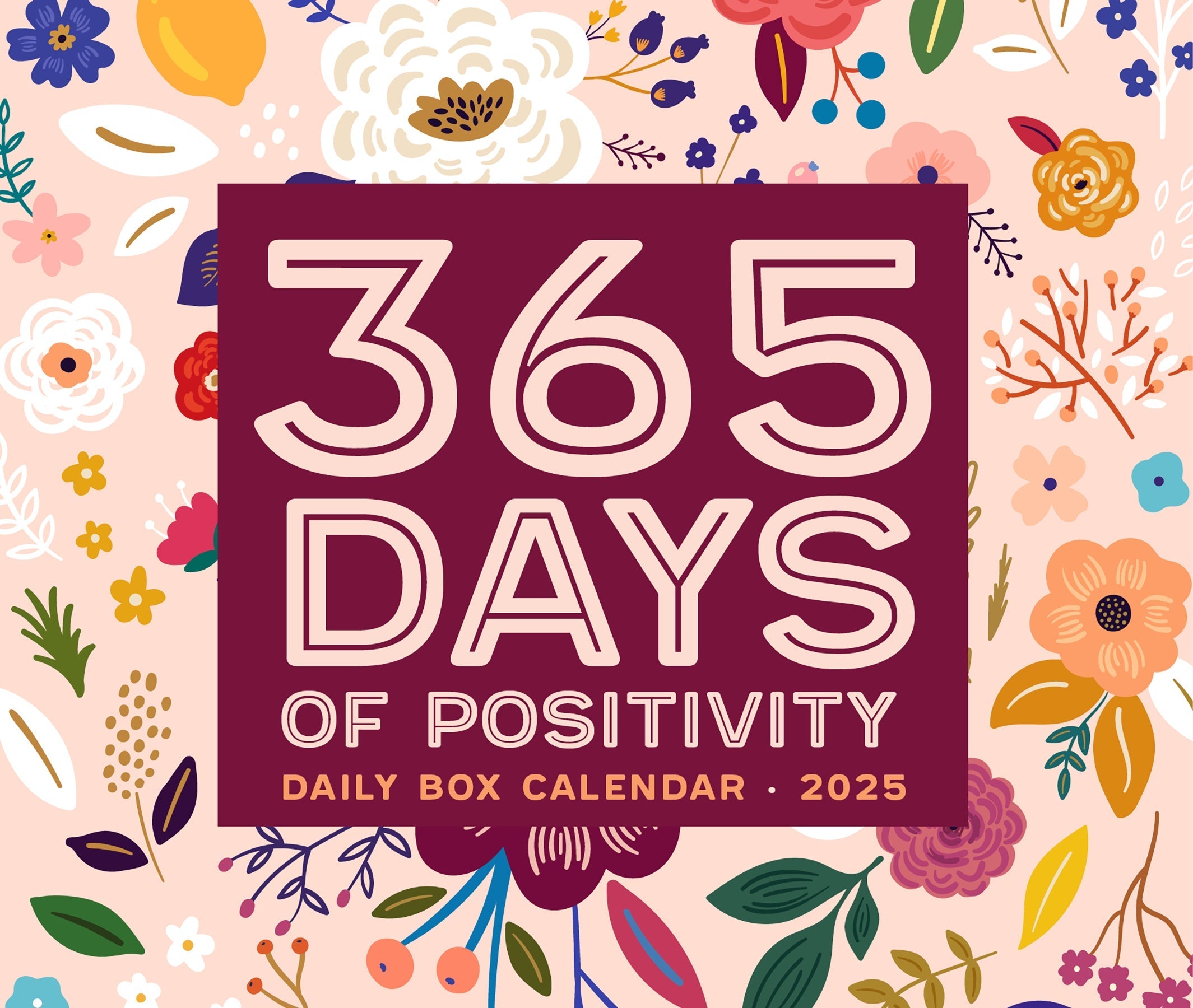 2025 365 Days of Positivity - Daily Boxed Page-A-Day Calendar (US Only)