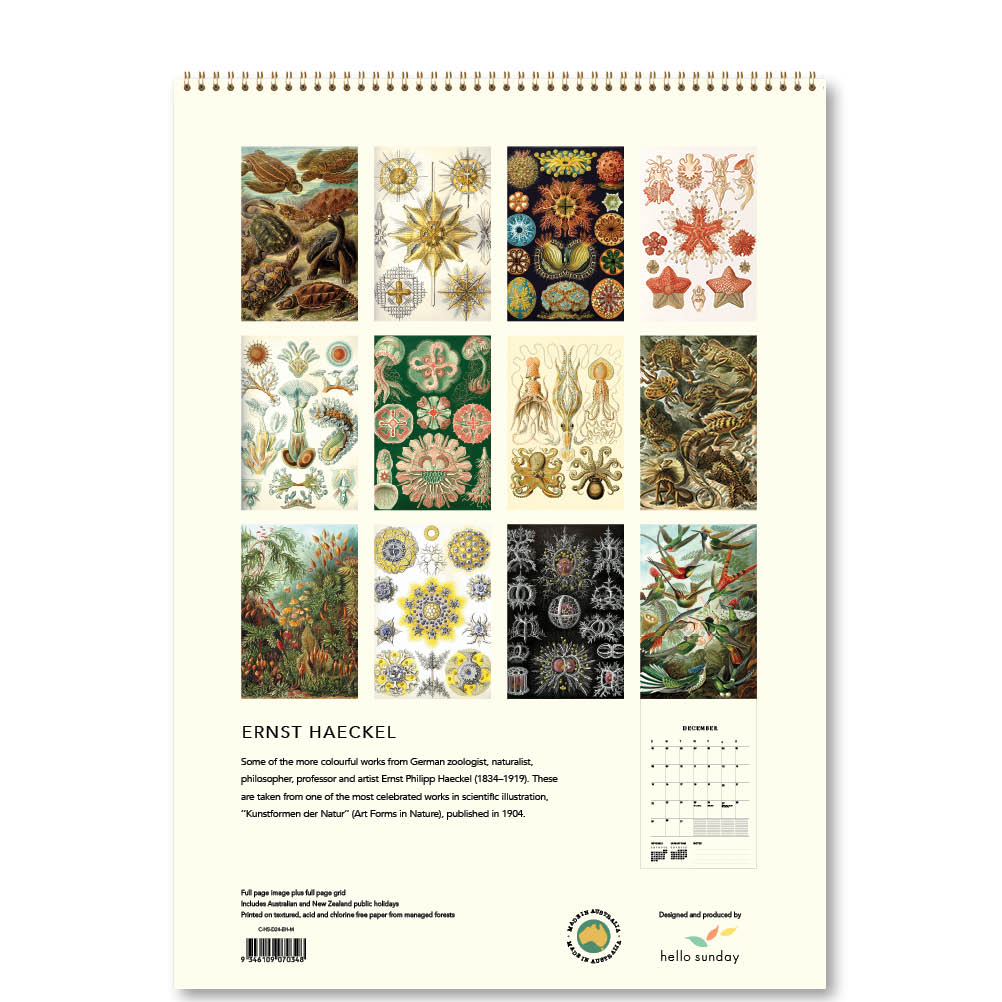 2024 Ernst Haeckel - Deluxe Wall Calendar