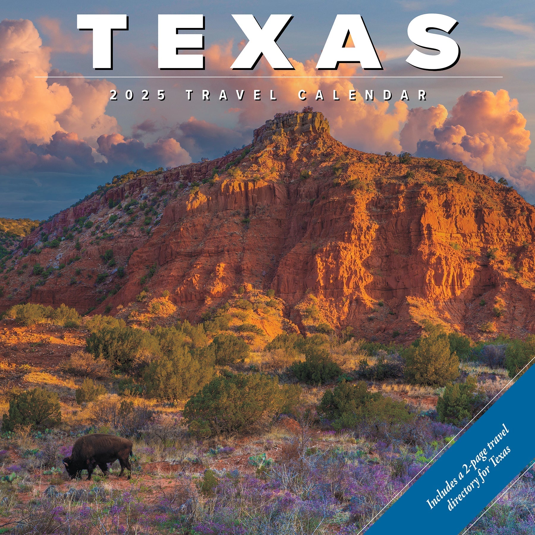 2025 Texas - Square Wall Calendar (US Only)