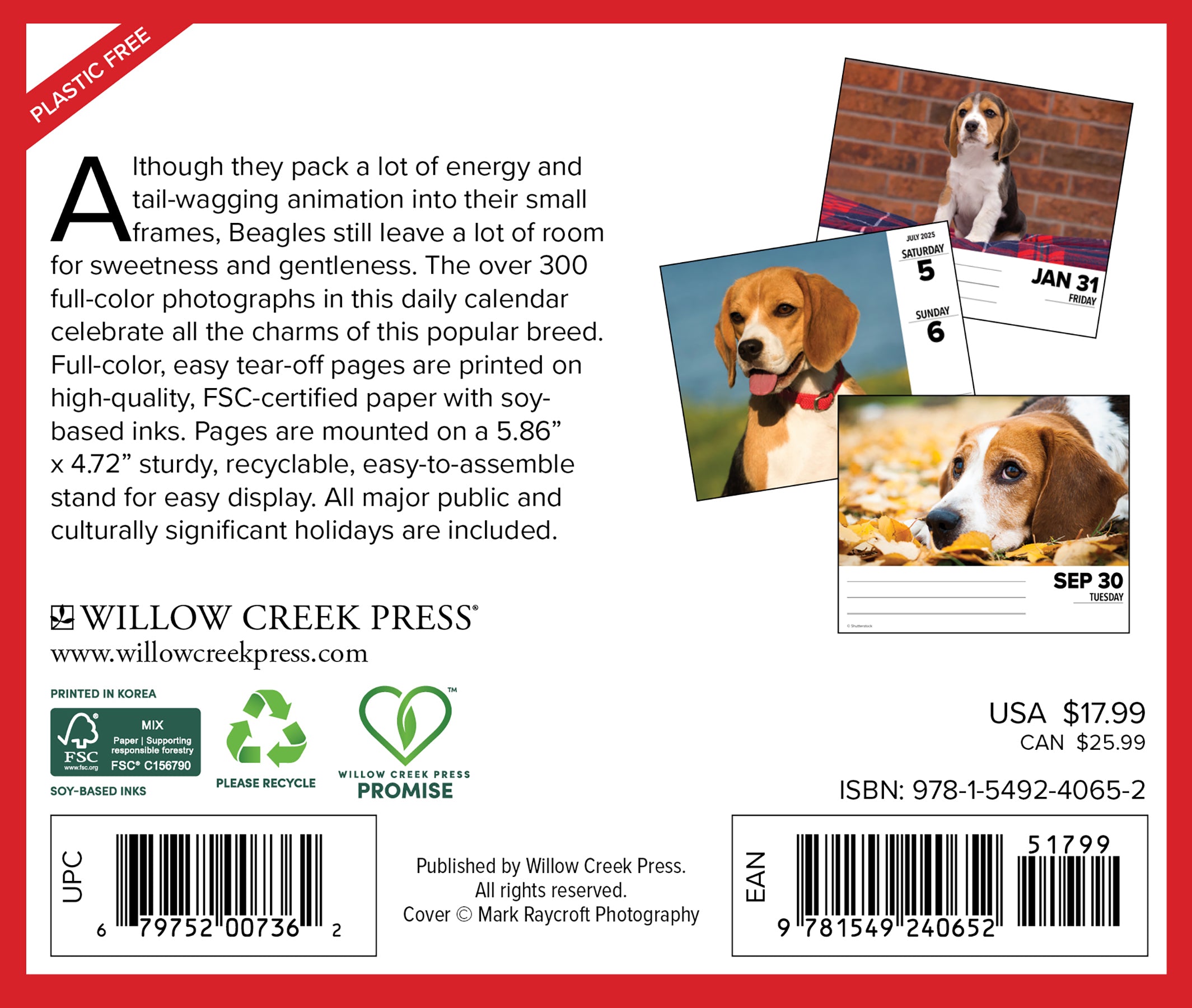 2025 Beagles - Daily Boxed Page-A-Day Calendar (US Only)