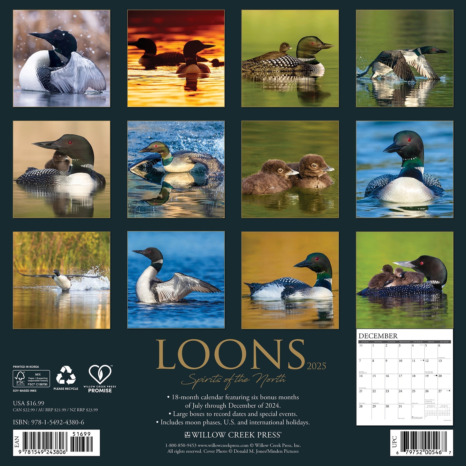 2025 Loons - Square Wall Calendar (US Only)