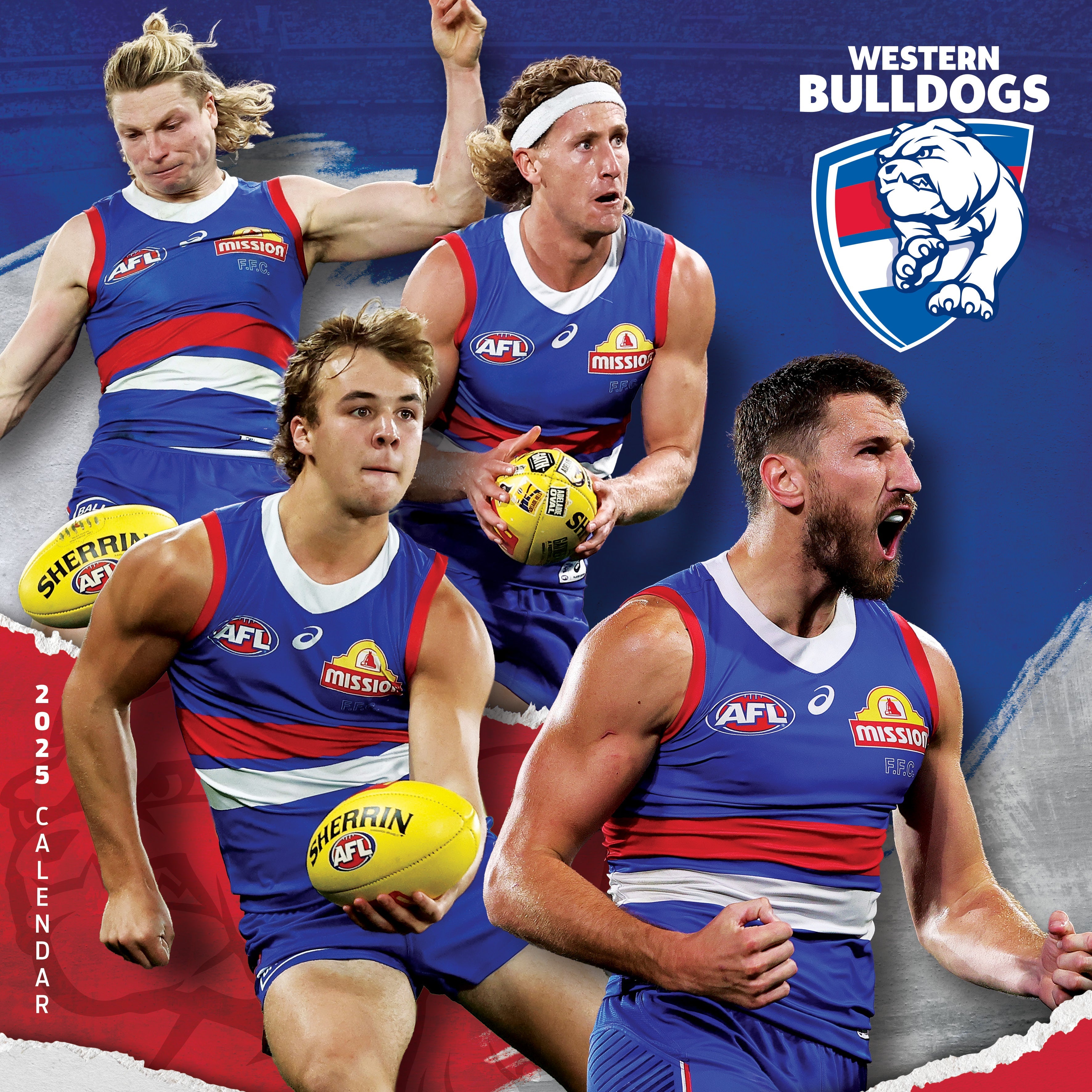 2025 AFL Western Bulldogs - Square Wall Calendar