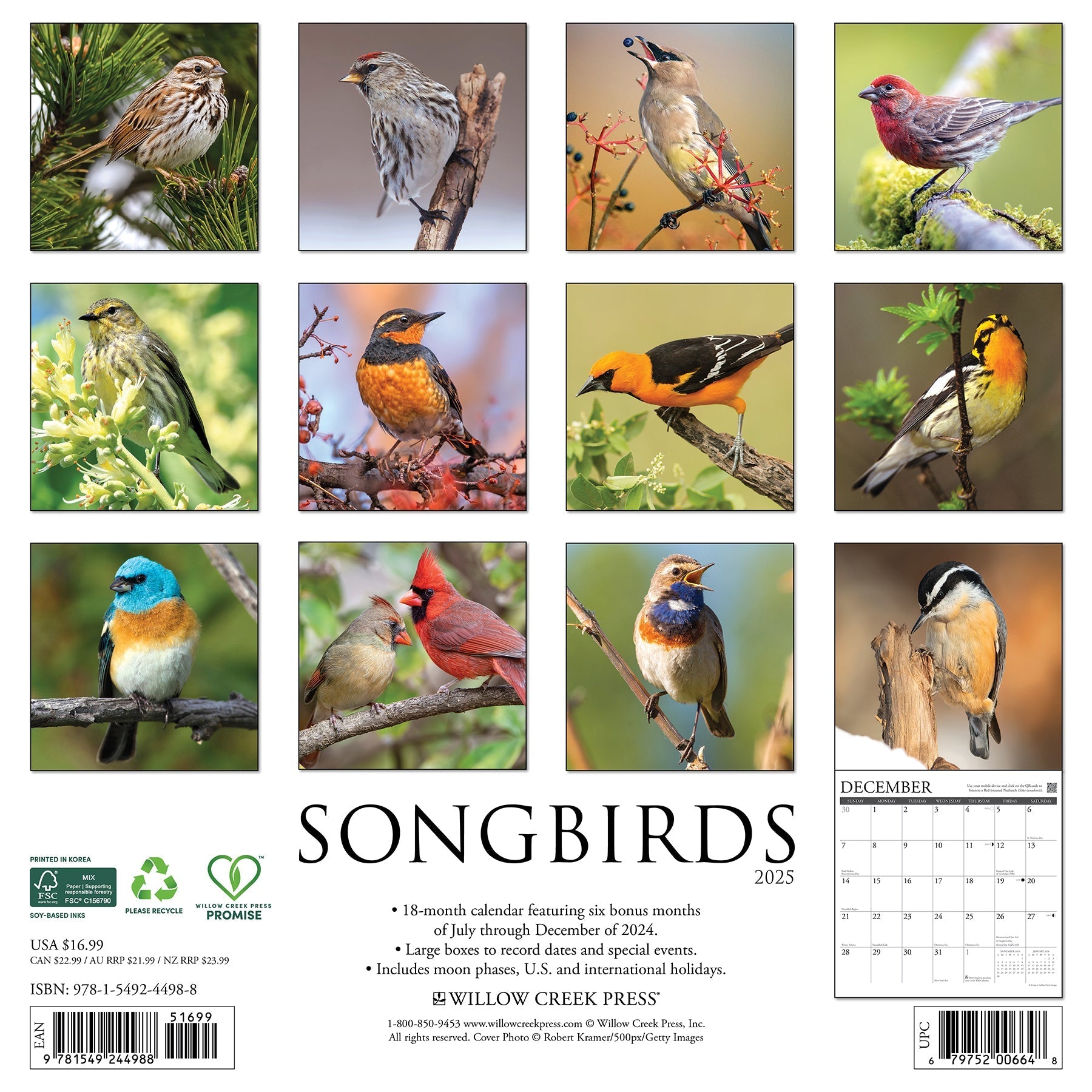 2025 Songbirds - Square Wall Calendar (US Only)