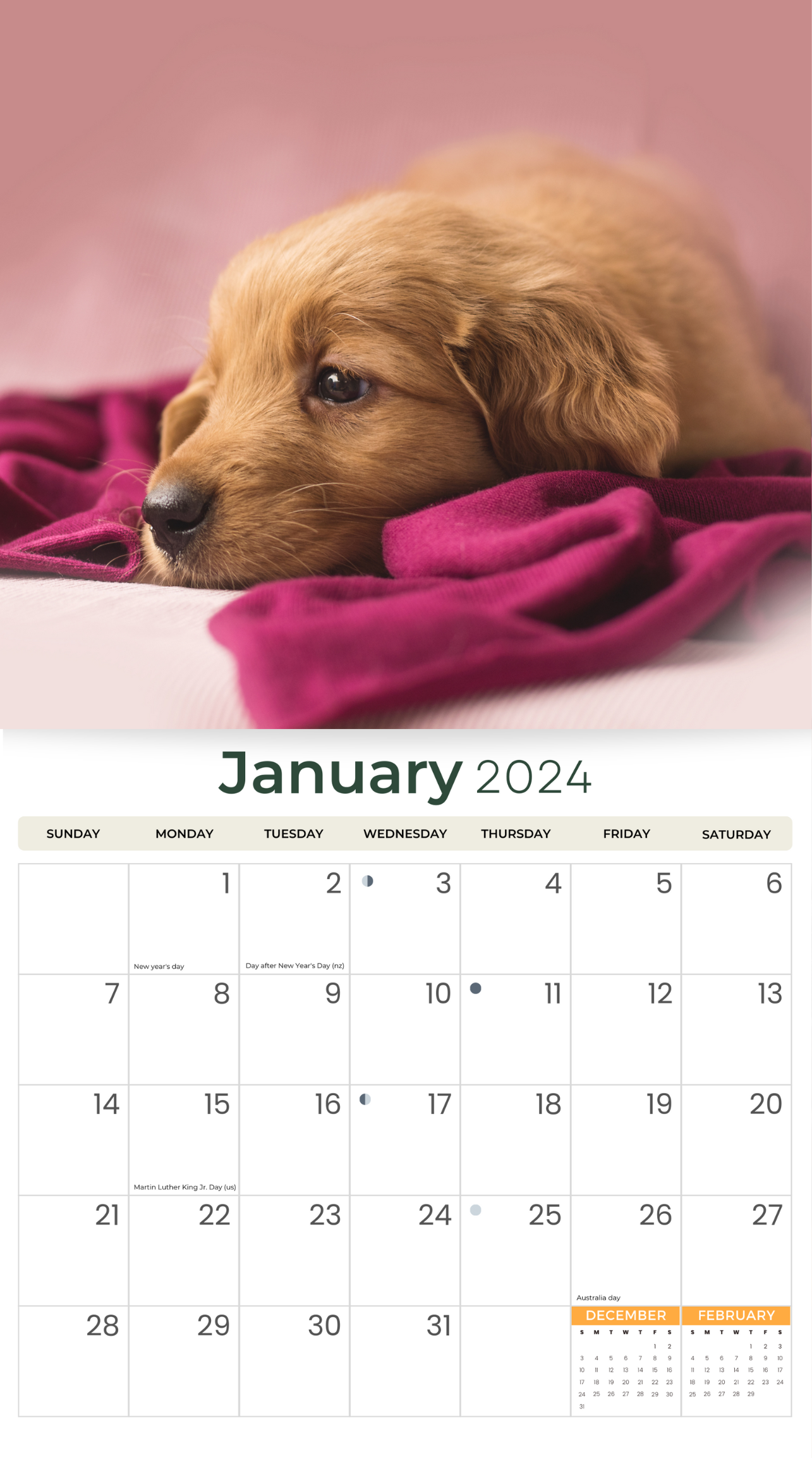 2024 Golden Retrievers - Deluxe Wall Calendar