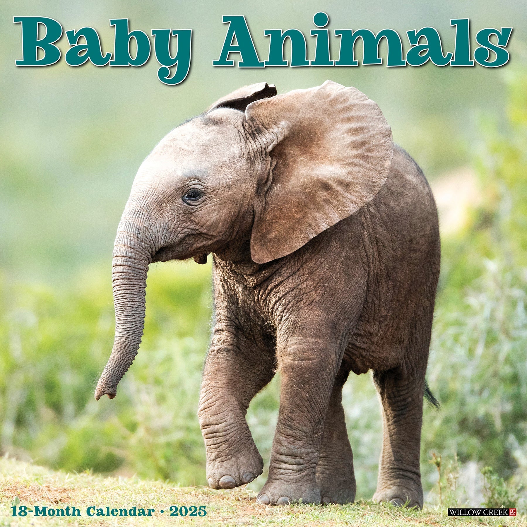 2025 Baby Animals - Square Wall Calendar (US Only)