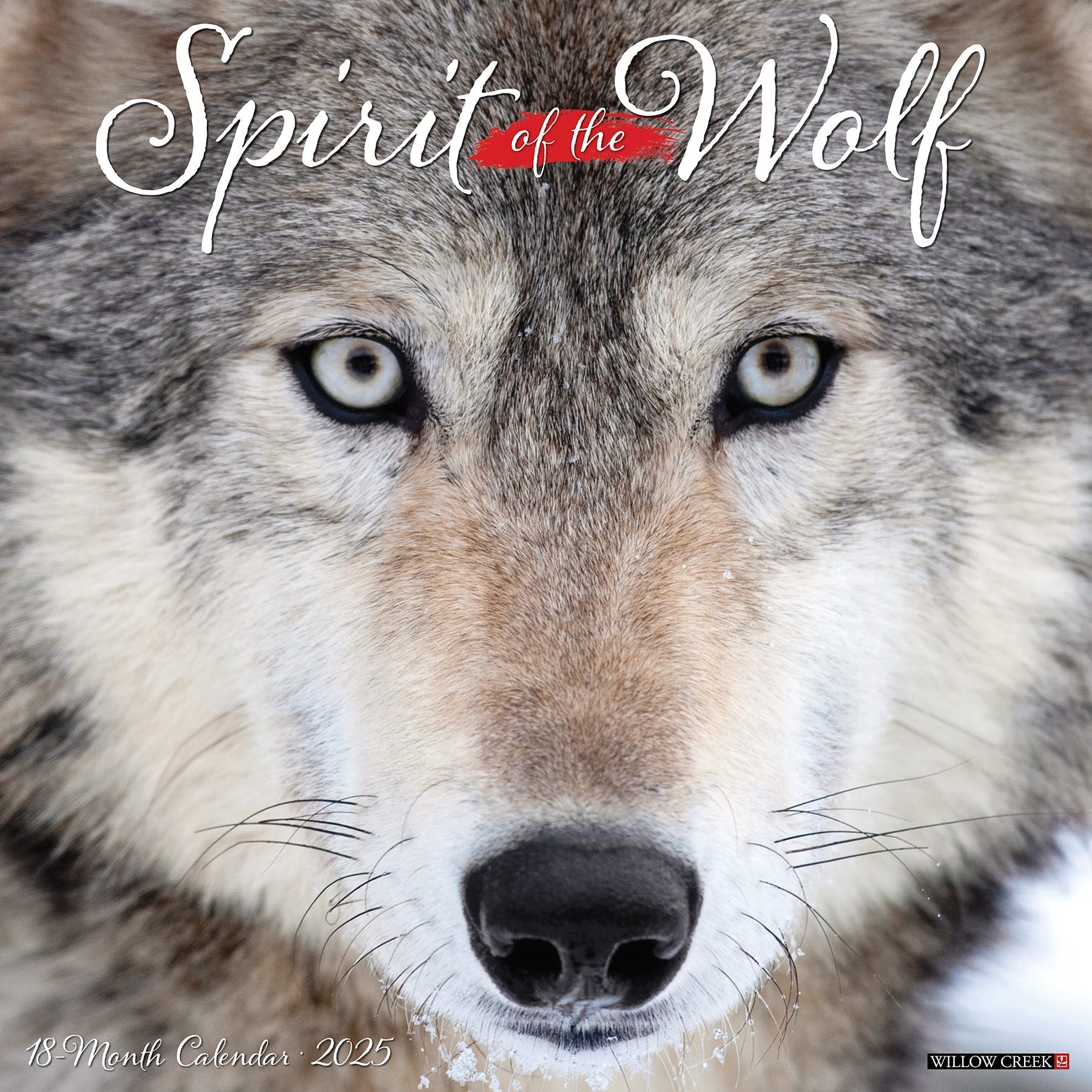 2025 Spirit of the Wolf - Square Wall Calendar (US Only)