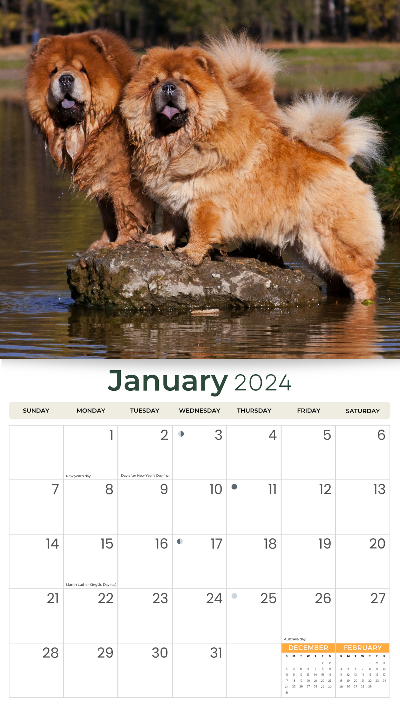 2024 Chow Chows - Deluxe Wall Calendar