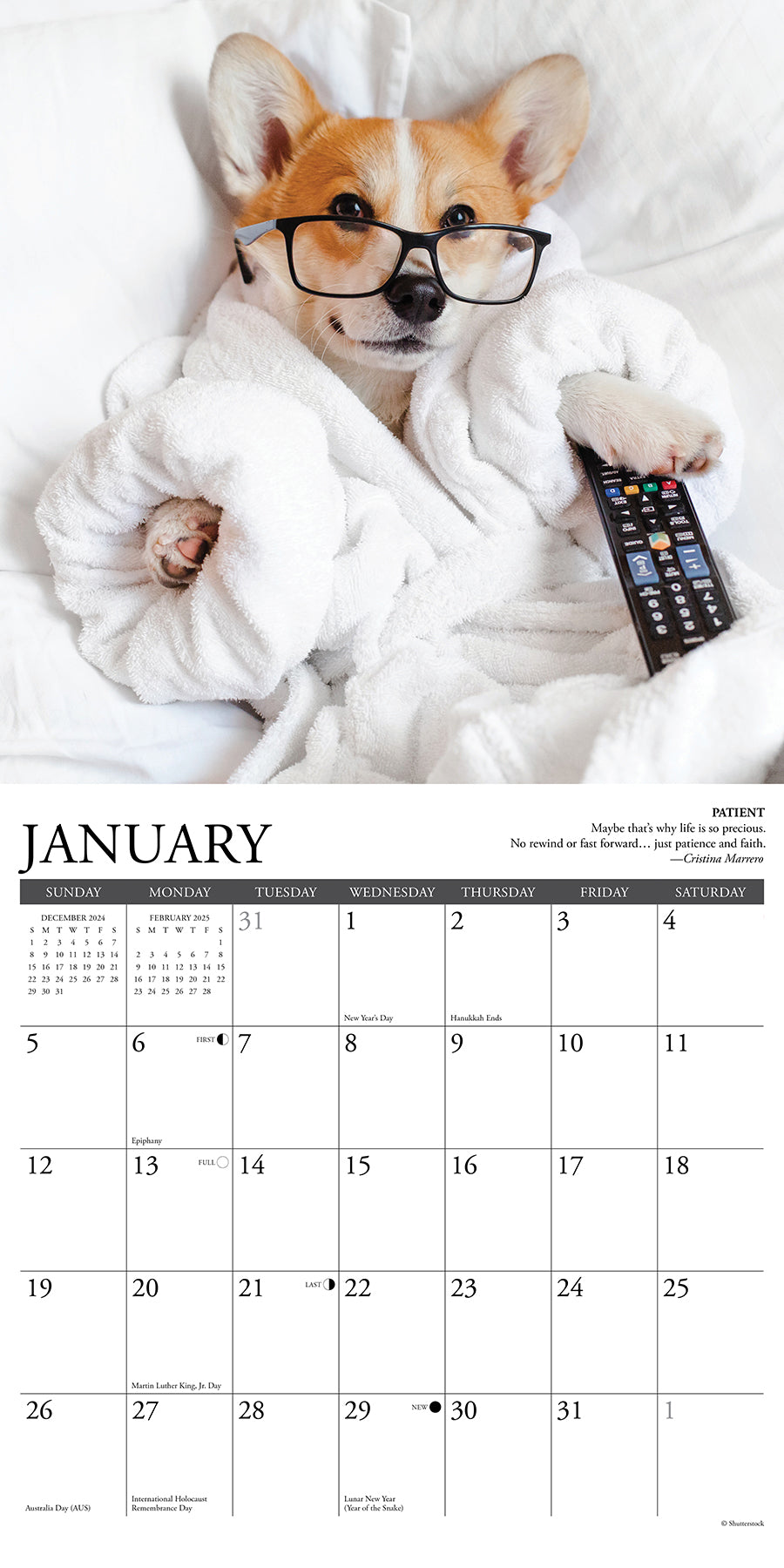 2025 Corgi Rules - Square Wall Calendar (US Only)