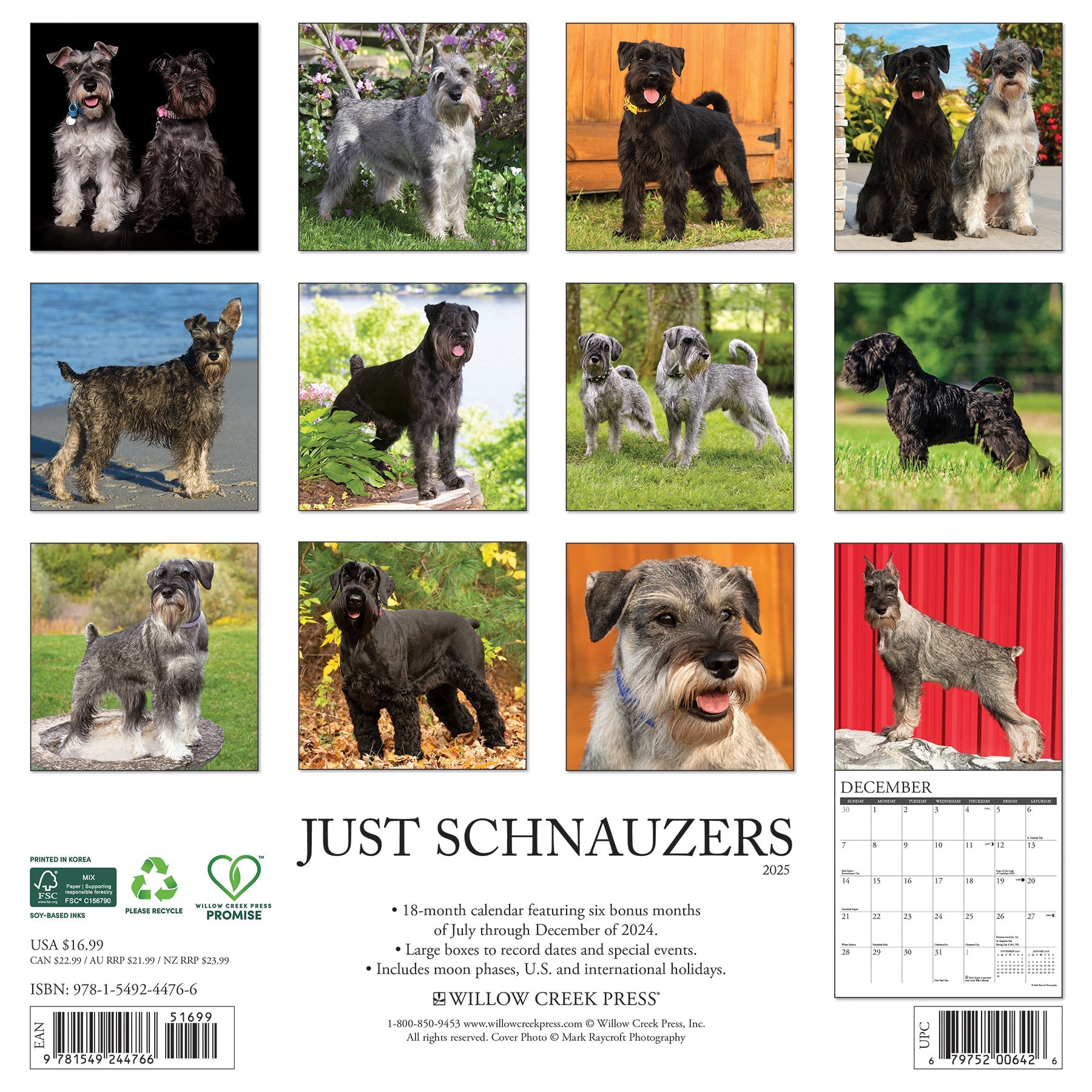 2025 Schnauzers - Square Wall Calendar (US Only)