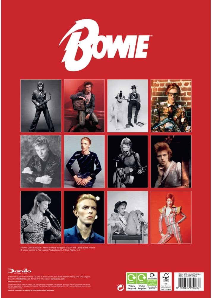 2025 David Bowie - A3 Wall Calendar