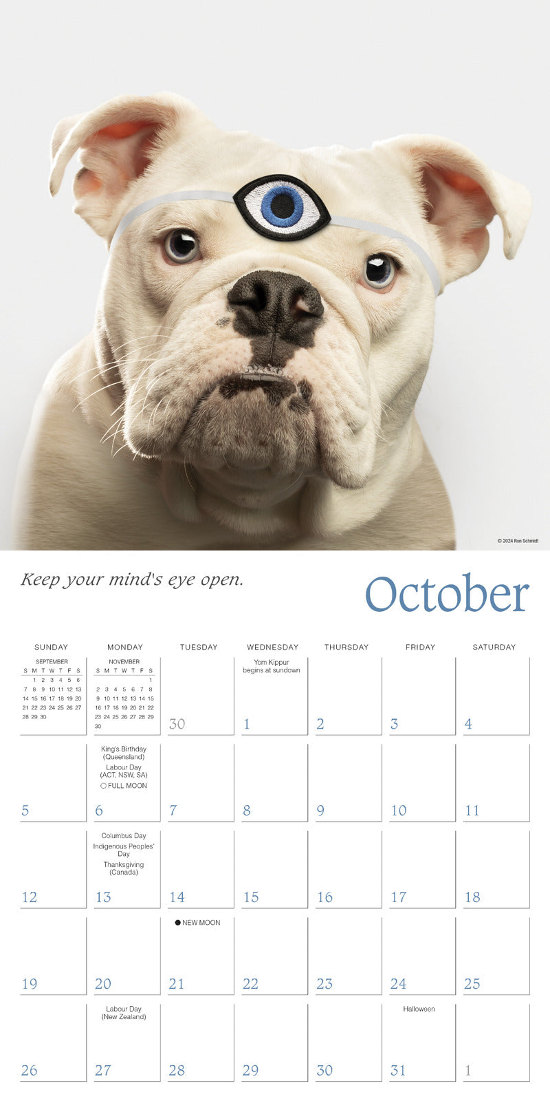 2025 Dogma: A Dog's Guide to Life - Square Wall Calendar