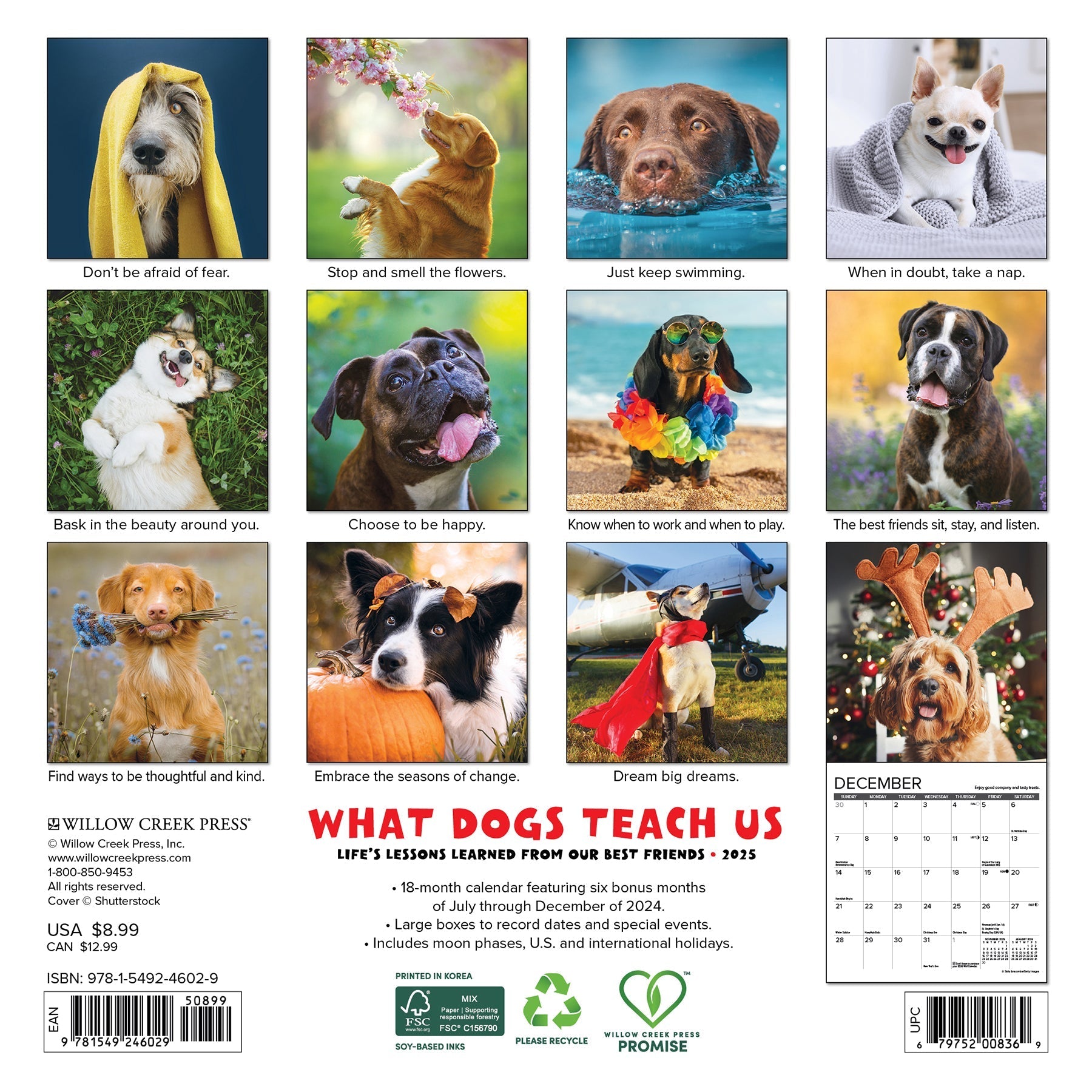 2025 What Dogs Teach Us - Mini Wall Calendar (US Only)