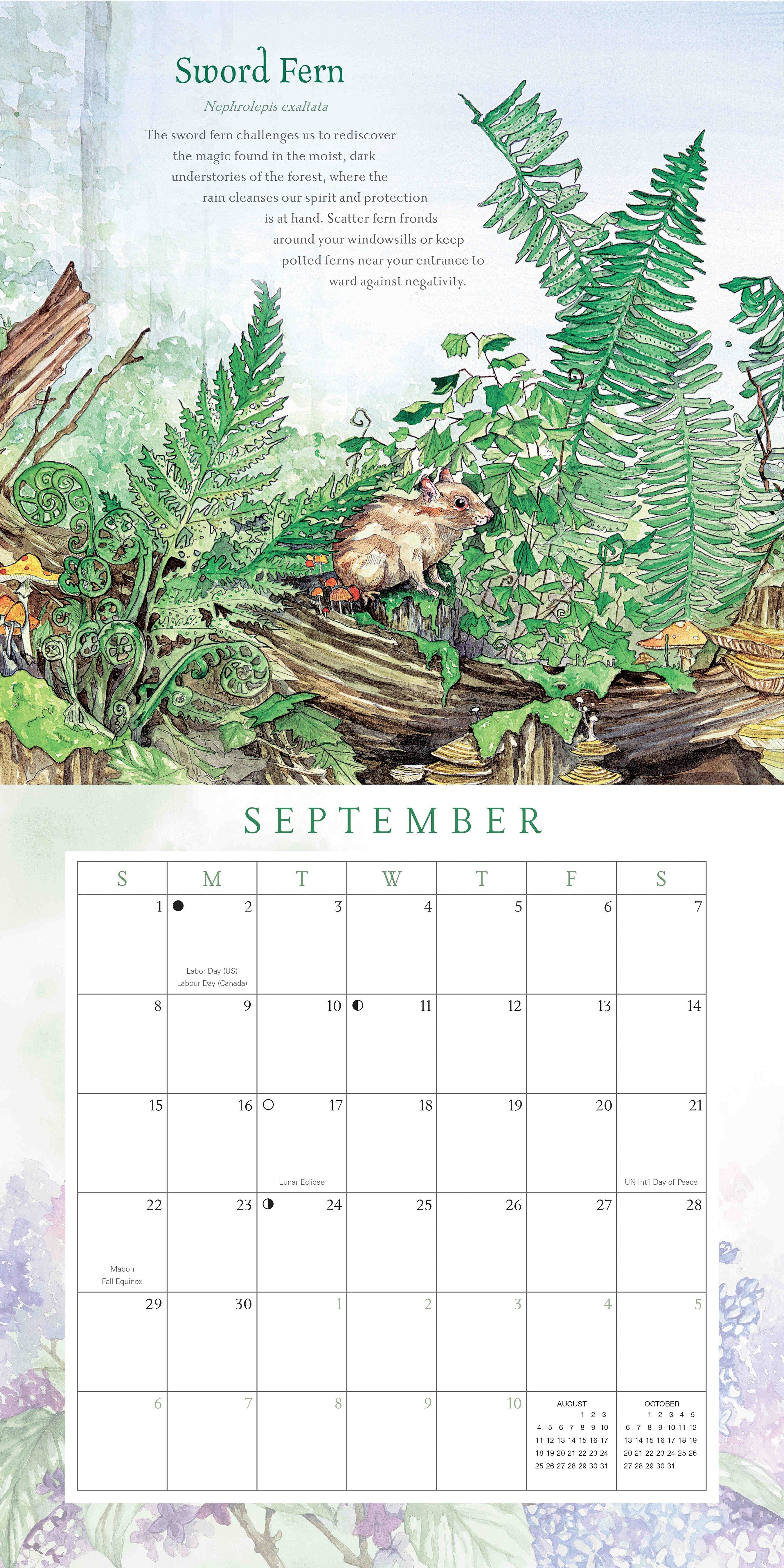 2024 Llewellyn's Hedgewitch Botanical - Square Wall Calendar
