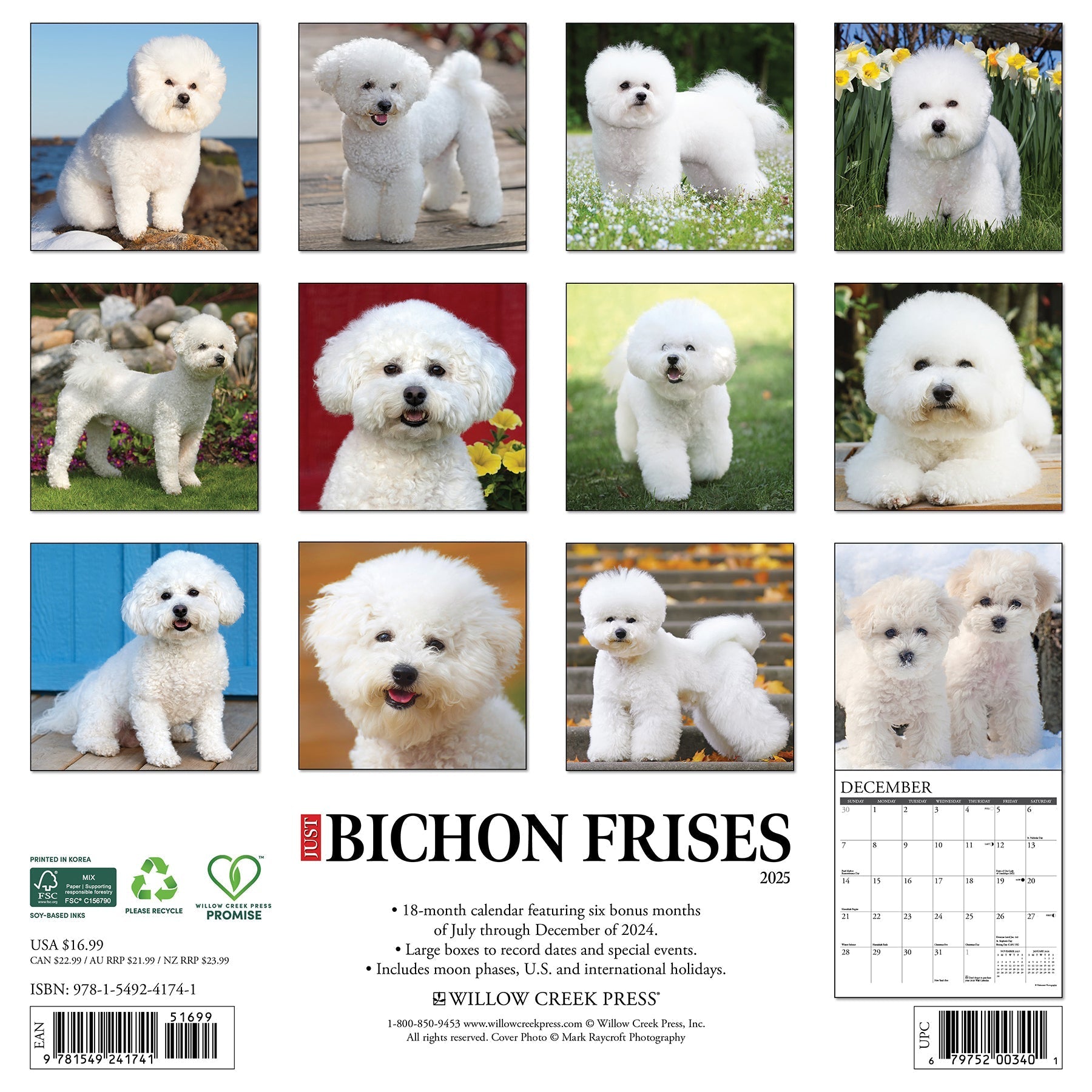 2025 Bichon Frises - Square Wall Calendar (US Only)