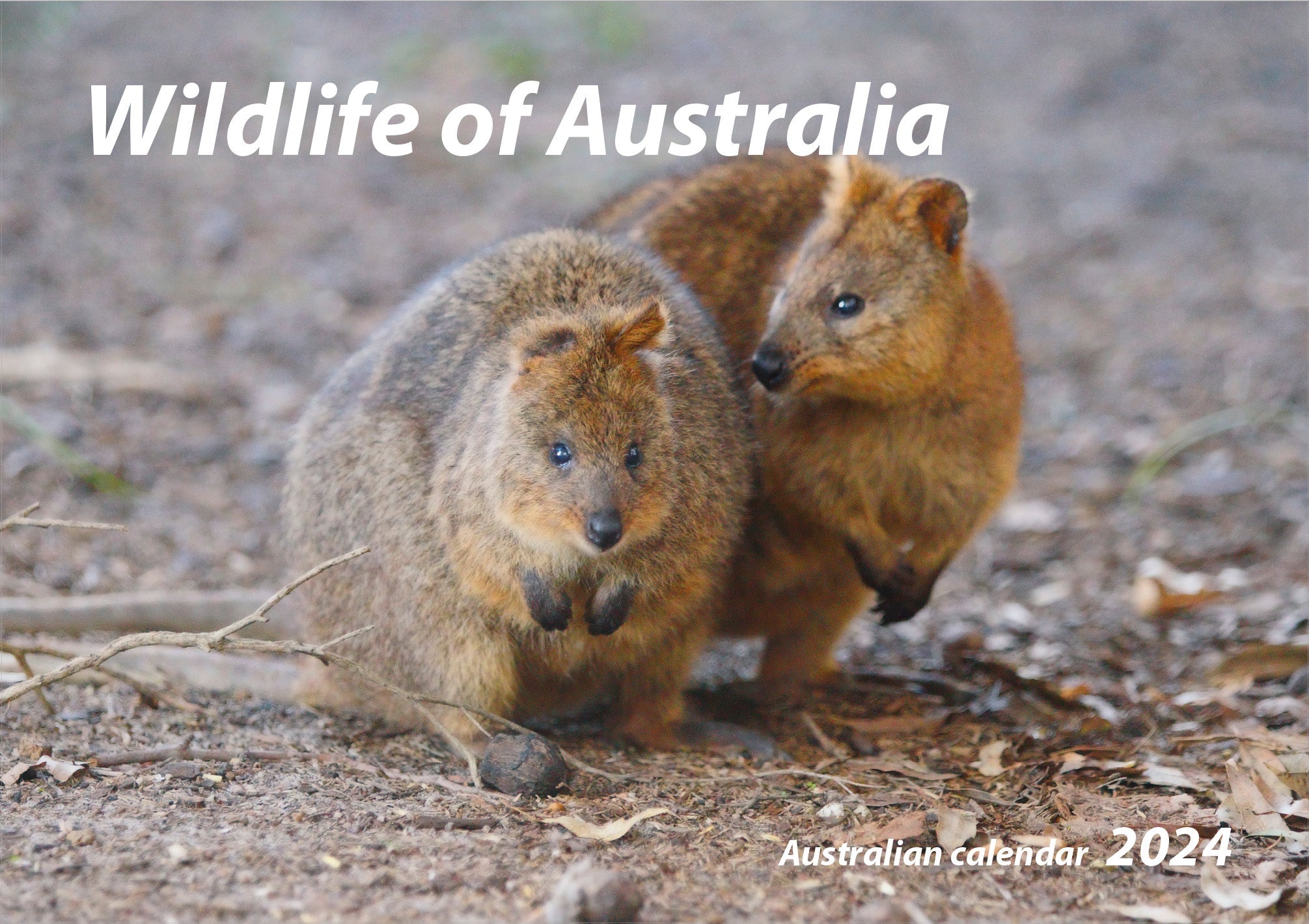 2024 Wildlife Of Australia - Horizontal Wall Calendar  SOLD OUT