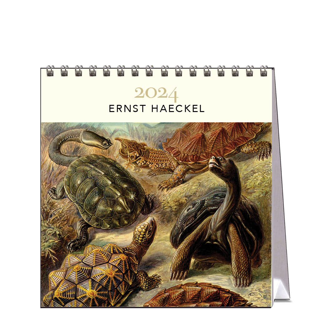2024 Ernst Haeckel - Desk Easel Calendar