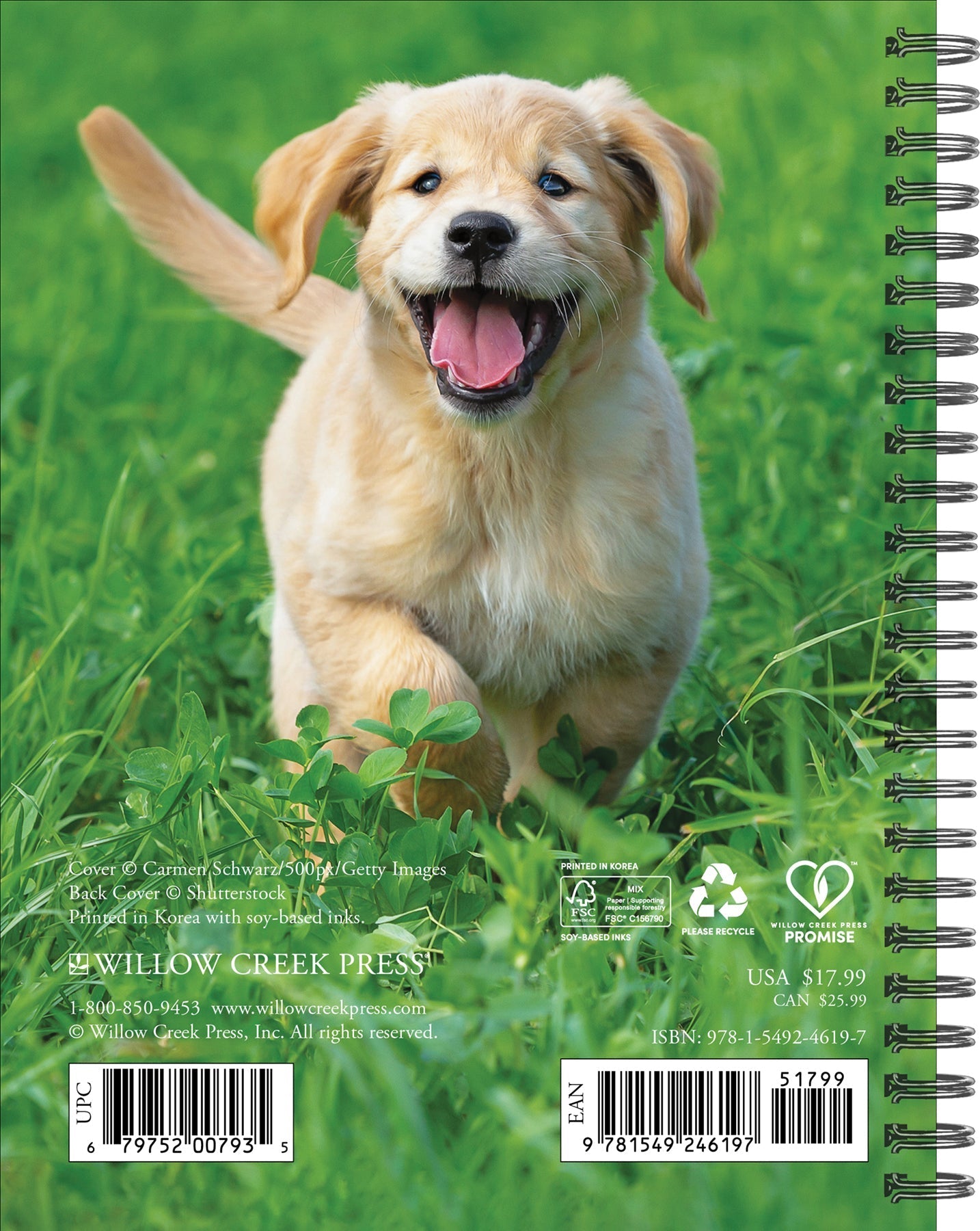 2025 What Goldens Teach Us - Weekly Diary/Planner (US Only)