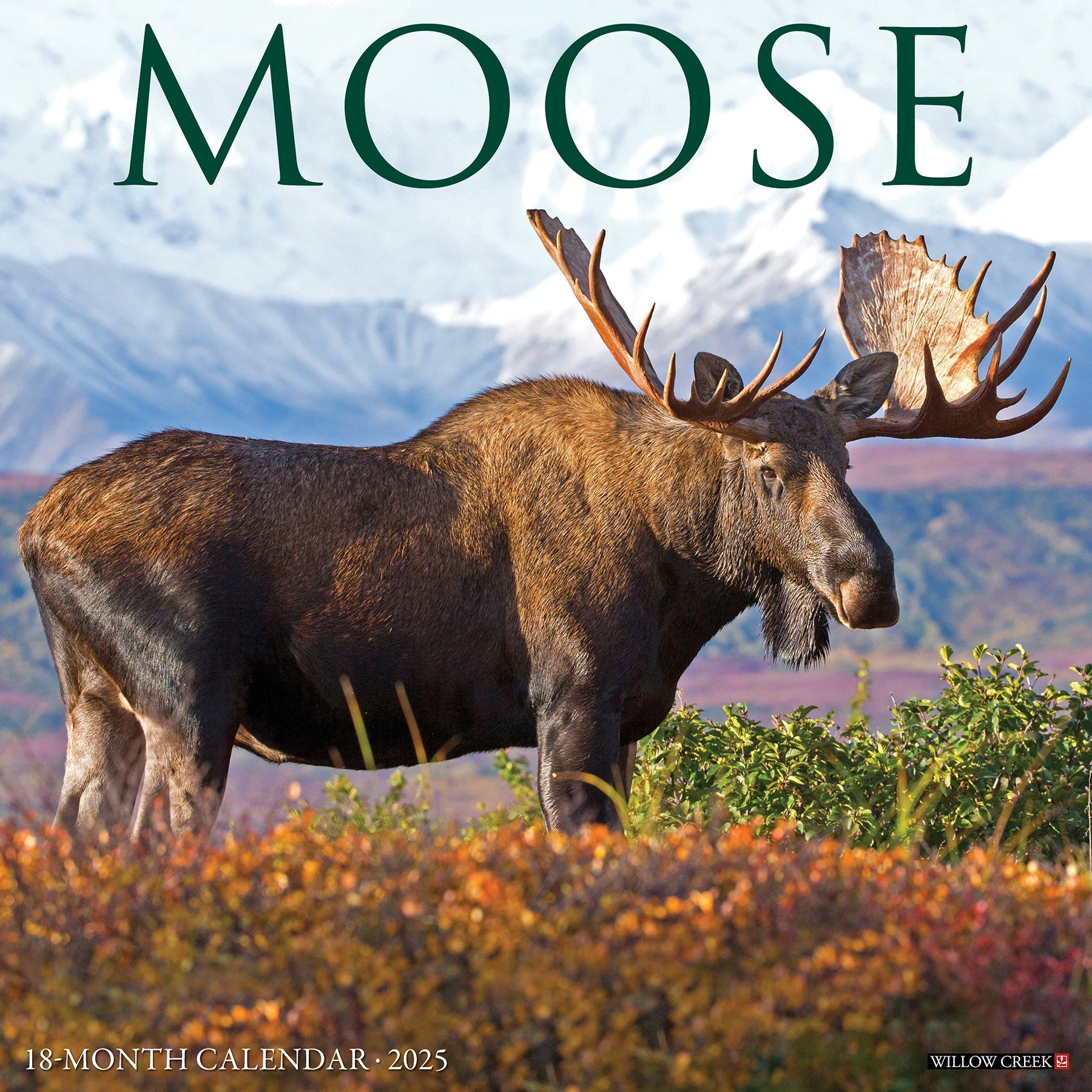 2025 Moose - Square Wall Calendar (US Only)