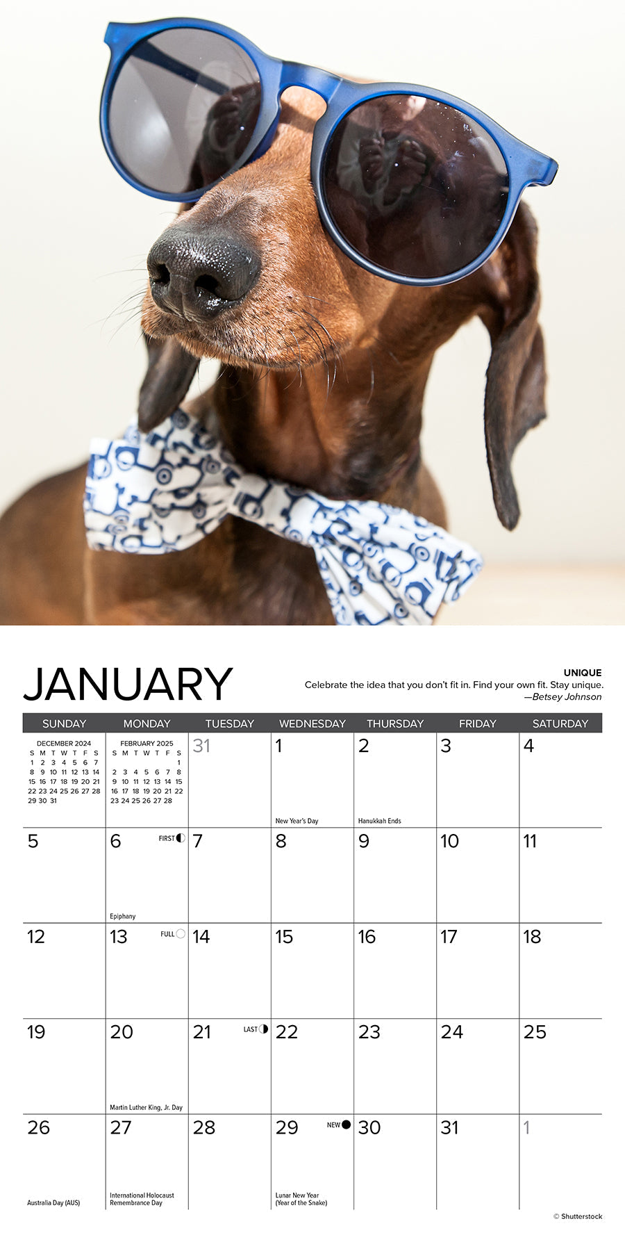 2025 Dachshund Rules - Mini Wall Calendar (US Only)