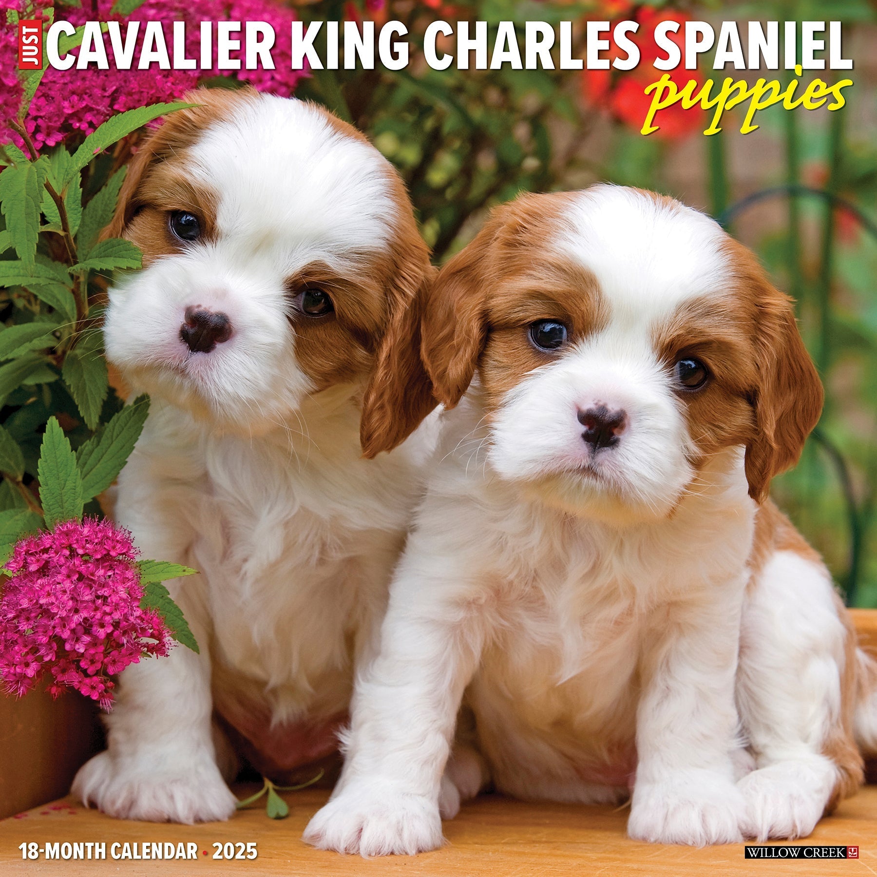 2025 Cavalier King Charles Spaniel Puppies - Square Wall Calendar (US Only)