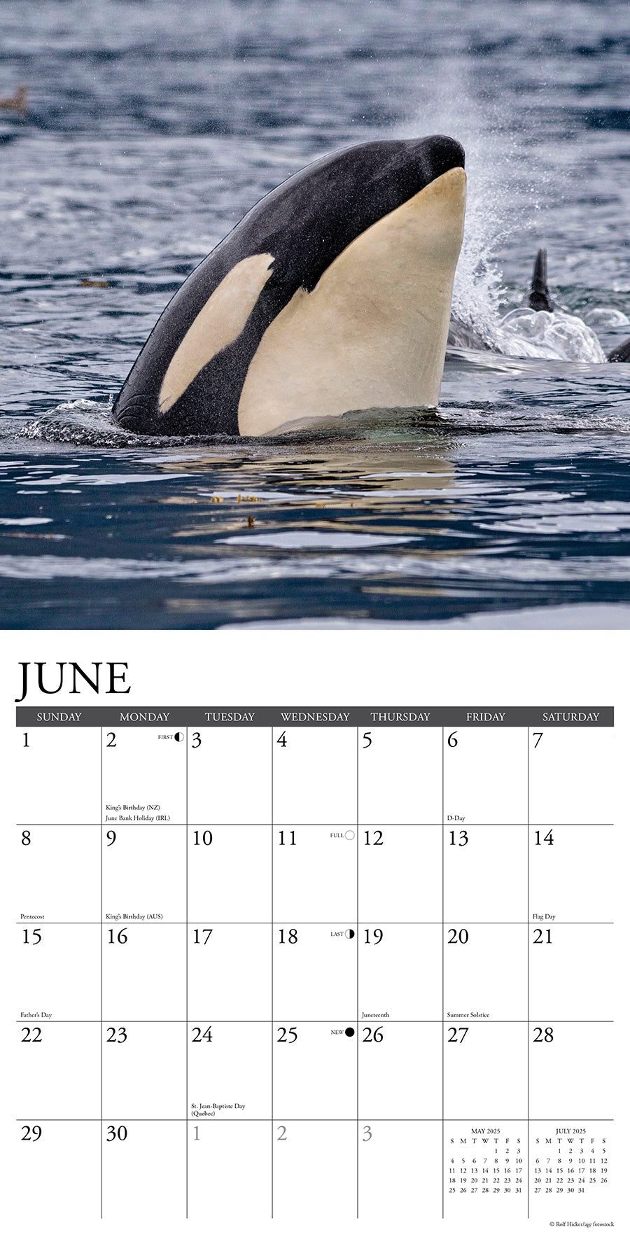 2025 Orca (Journey With the) - Square Wall Calendar (US Only)