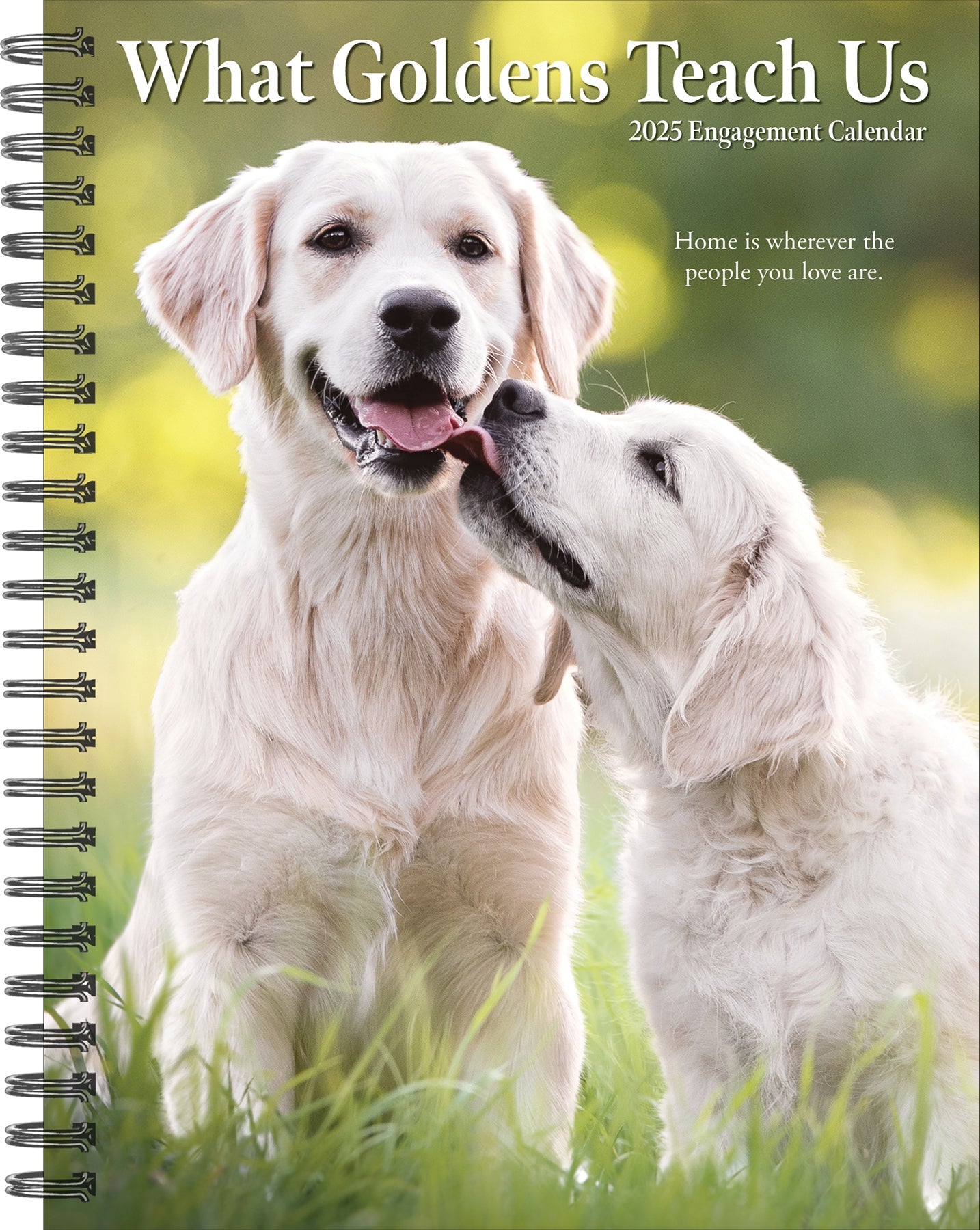 2025 What Goldens Teach Us - Weekly Diary/Planner (US Only)