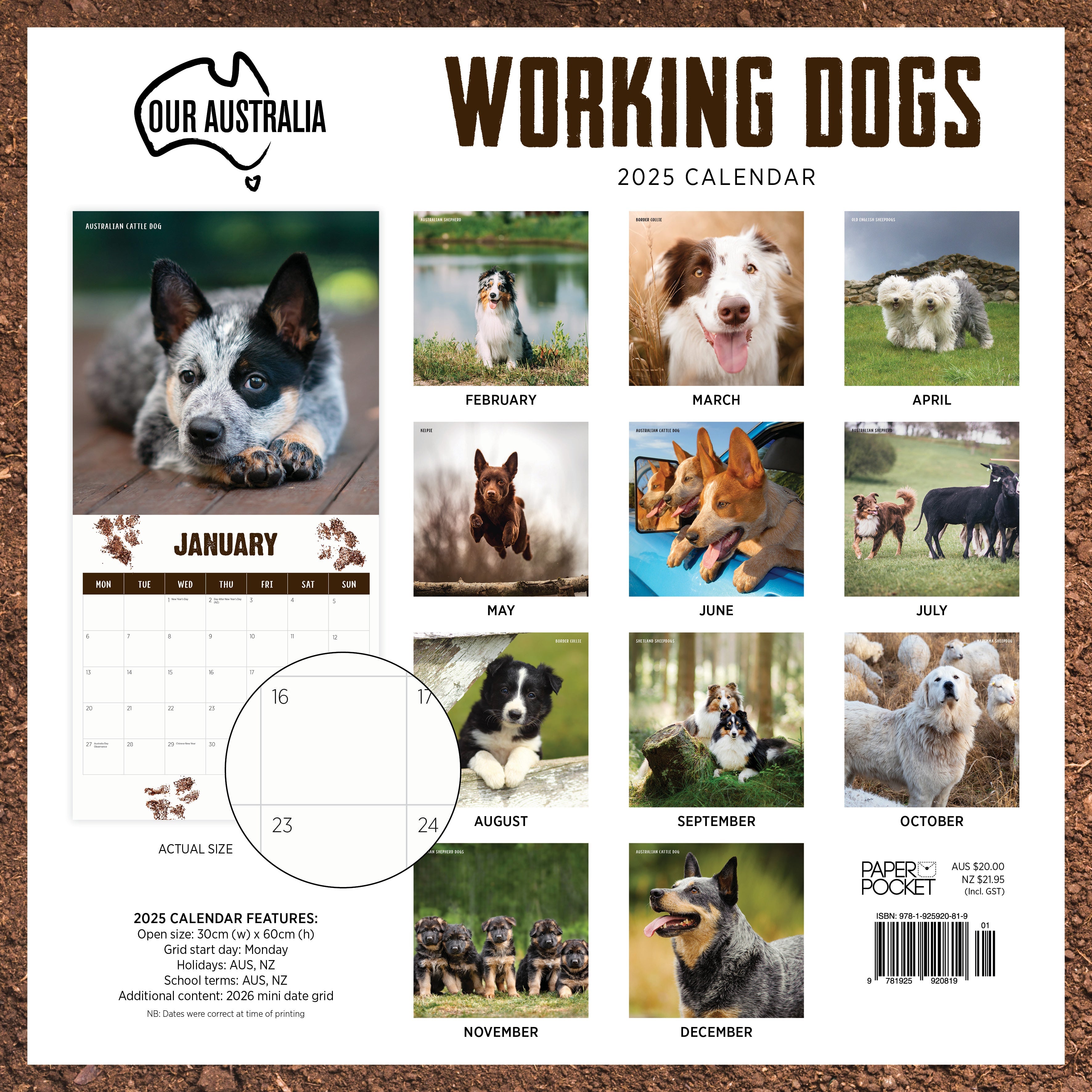 2025 Our Australia Working Dogs - Square Wall Calendar