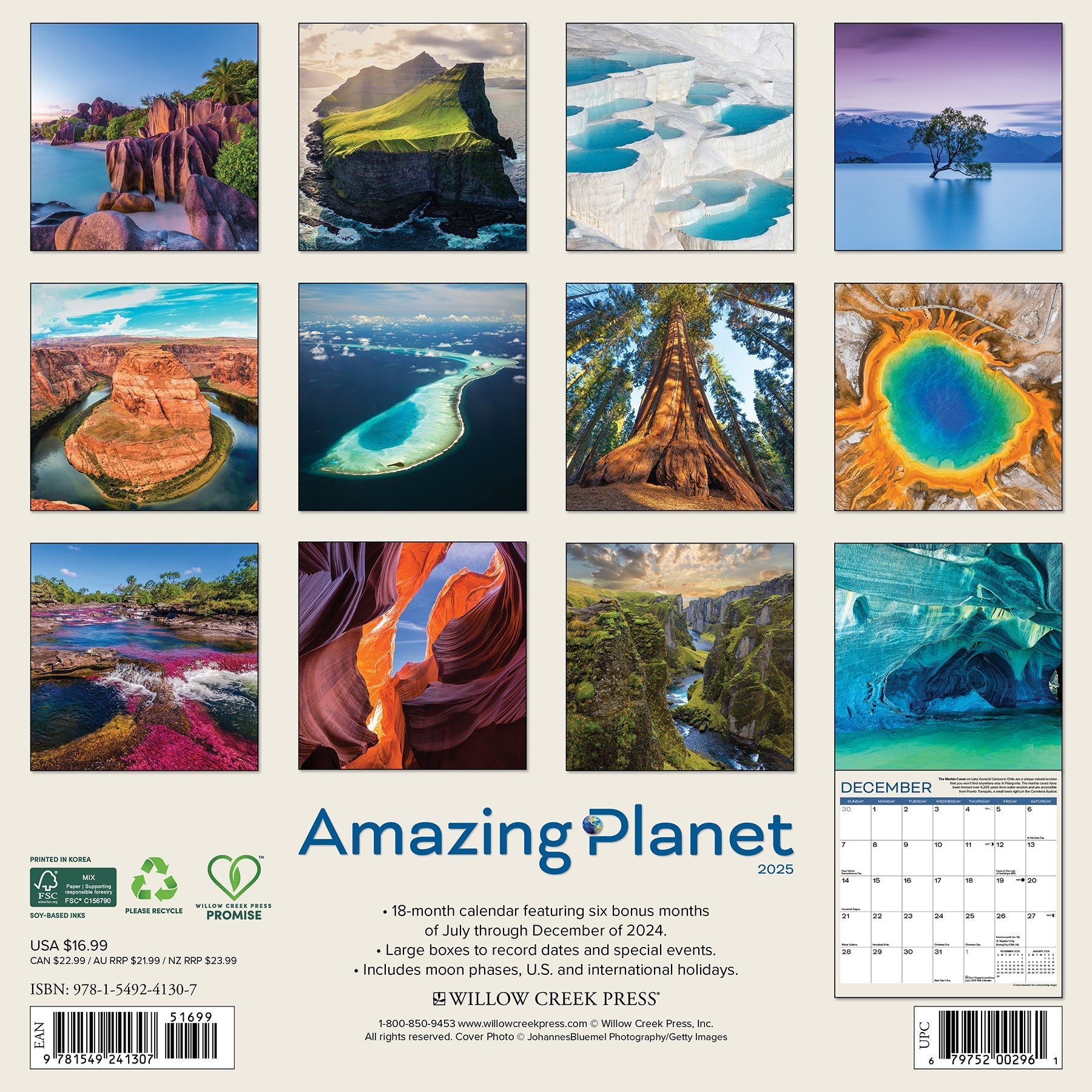 2025 Amazing Planet - Square Wall Calendar (US Only)