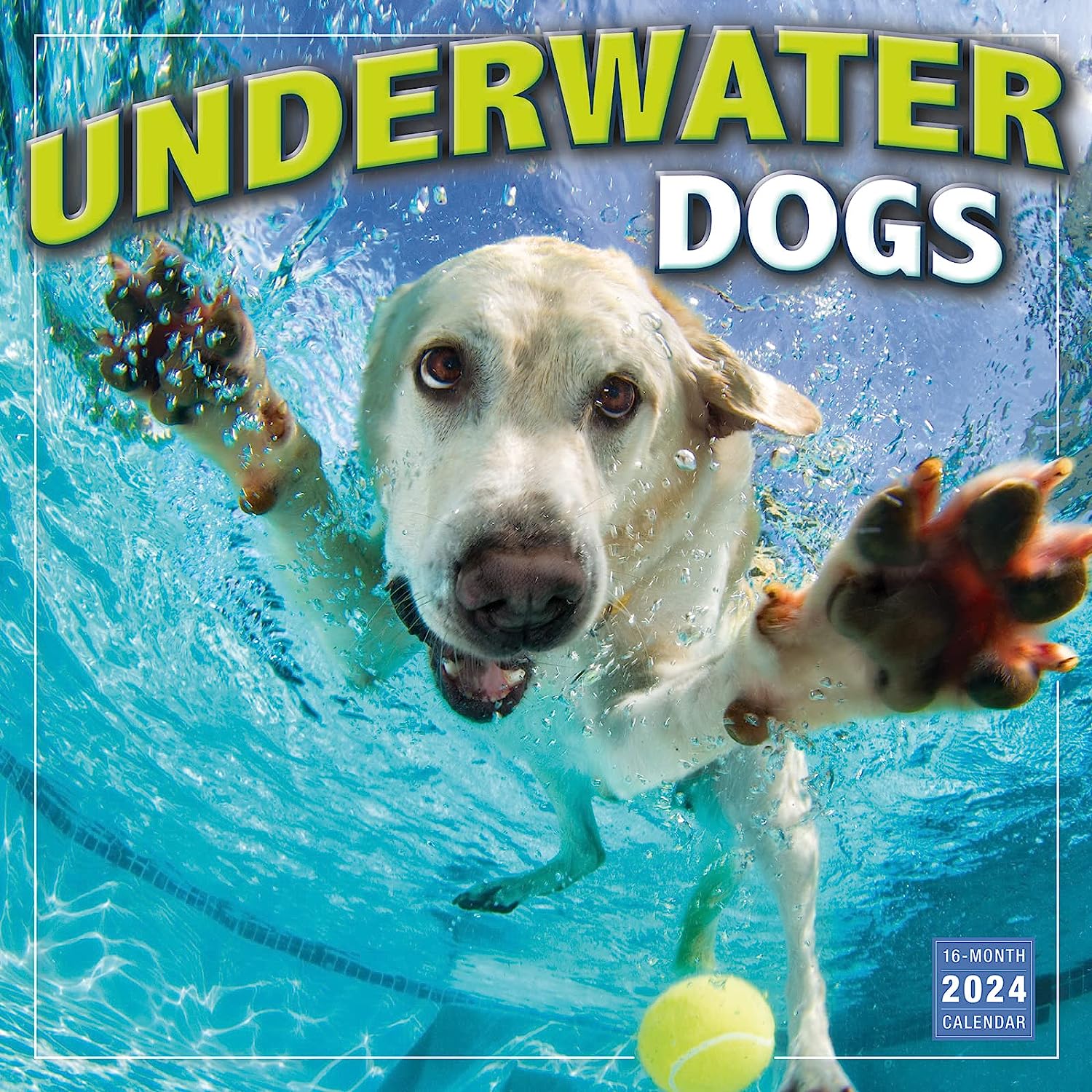 2024 Underwater Dogs: Seth Castell - Square Wall Calendar