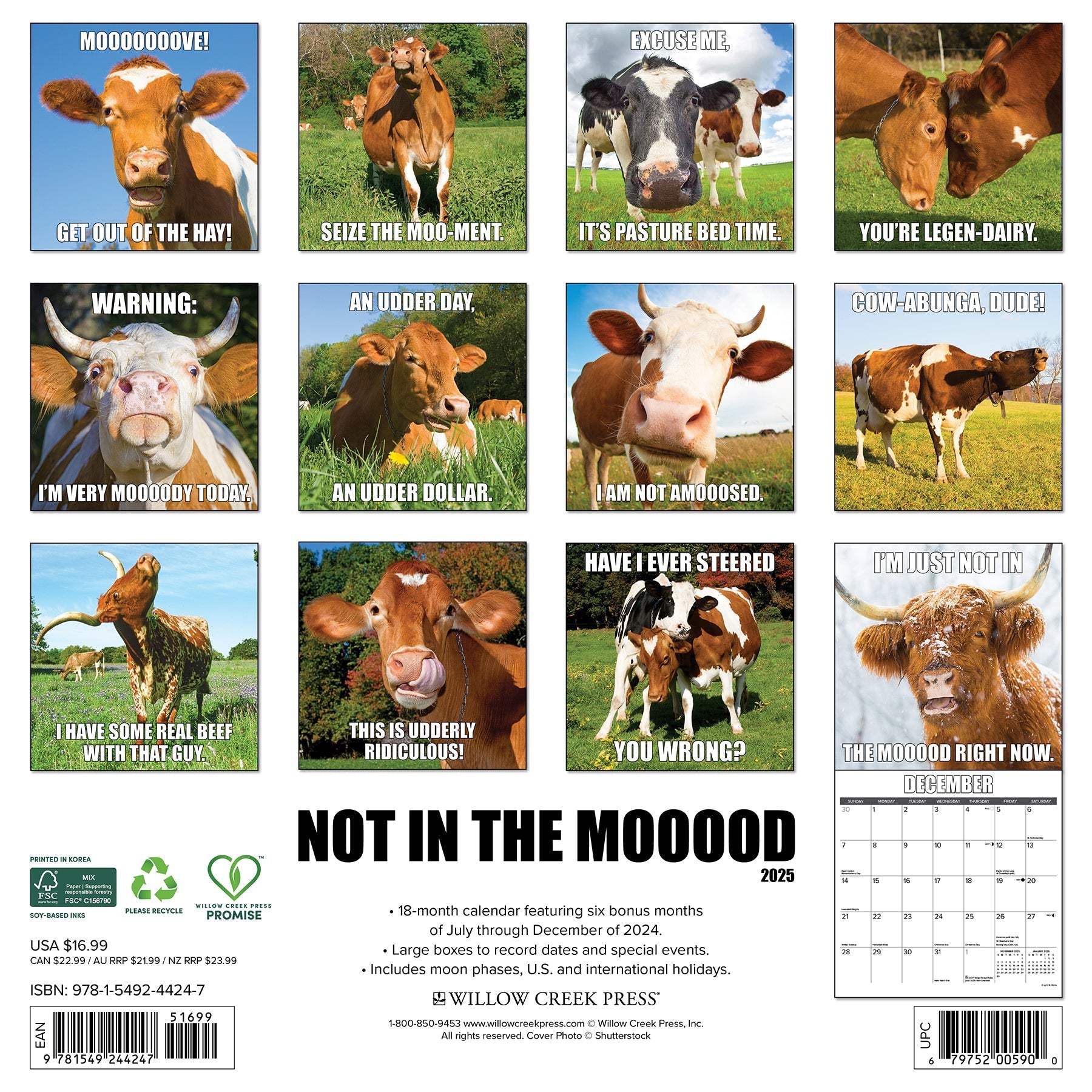 2025 Not in the Mooood - Square Wall Calendar (US Only)