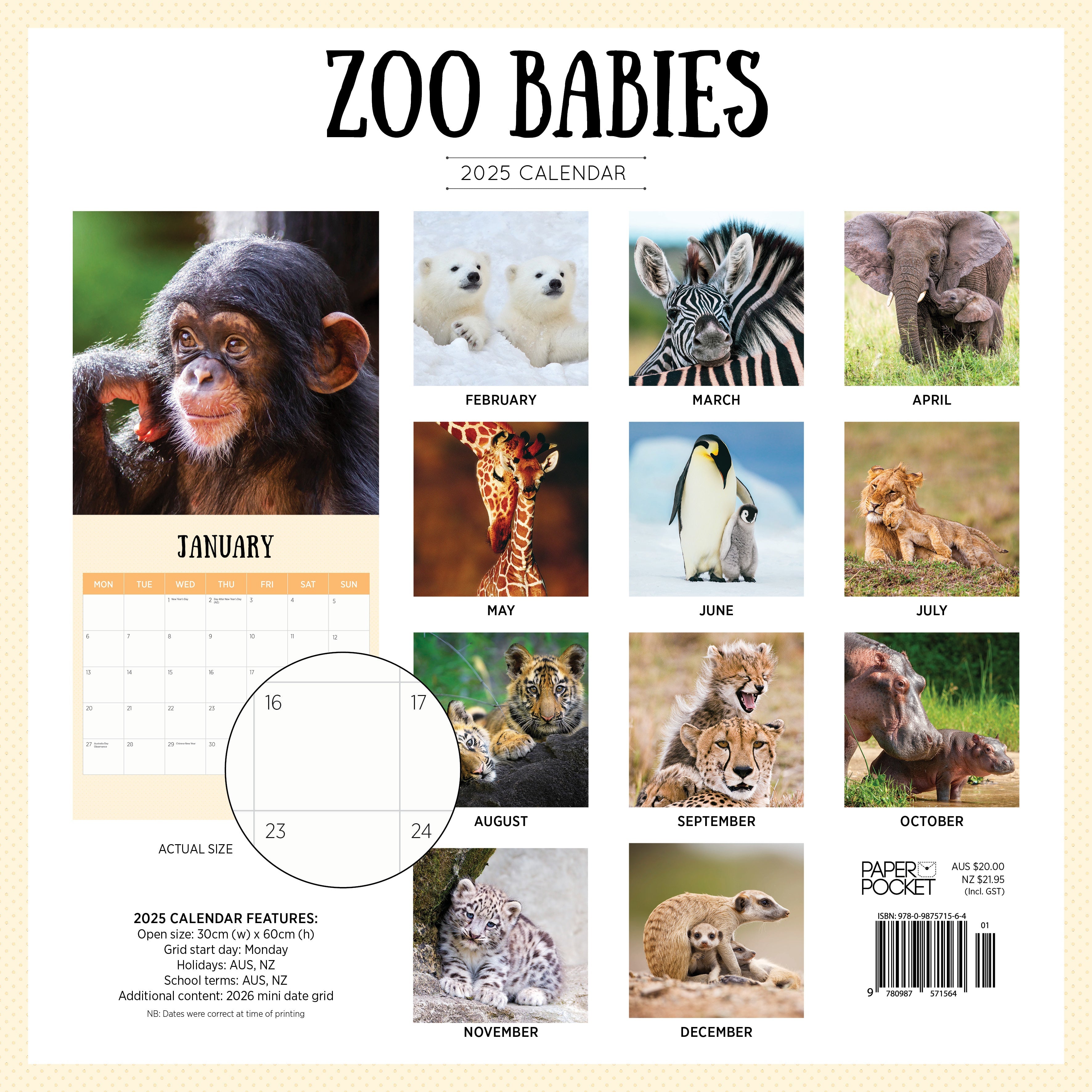 2025 Zoo Babies - Square Wall Calendar