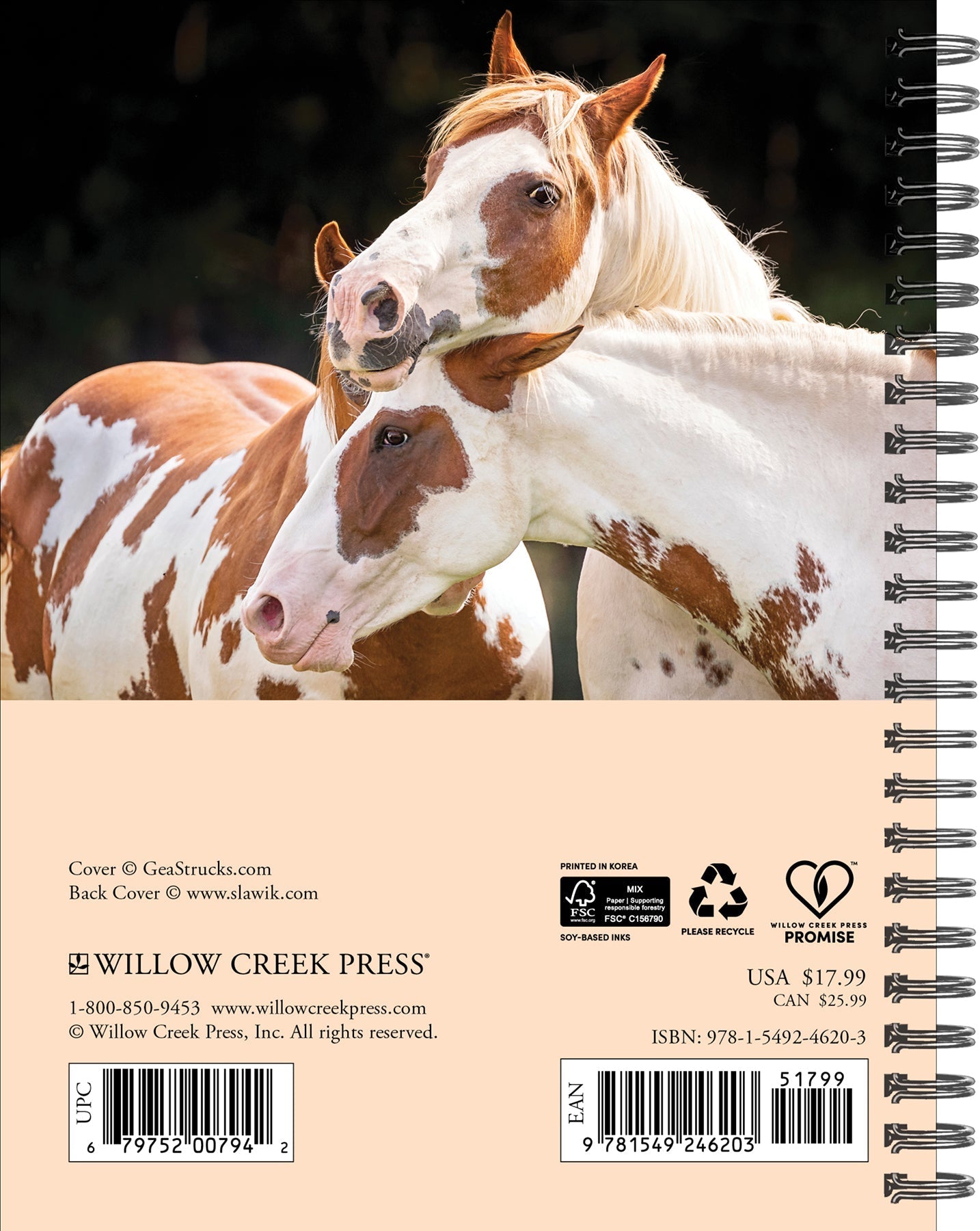 2025 What Horses Teach Us - Weekly Diary/Planner (US Only)