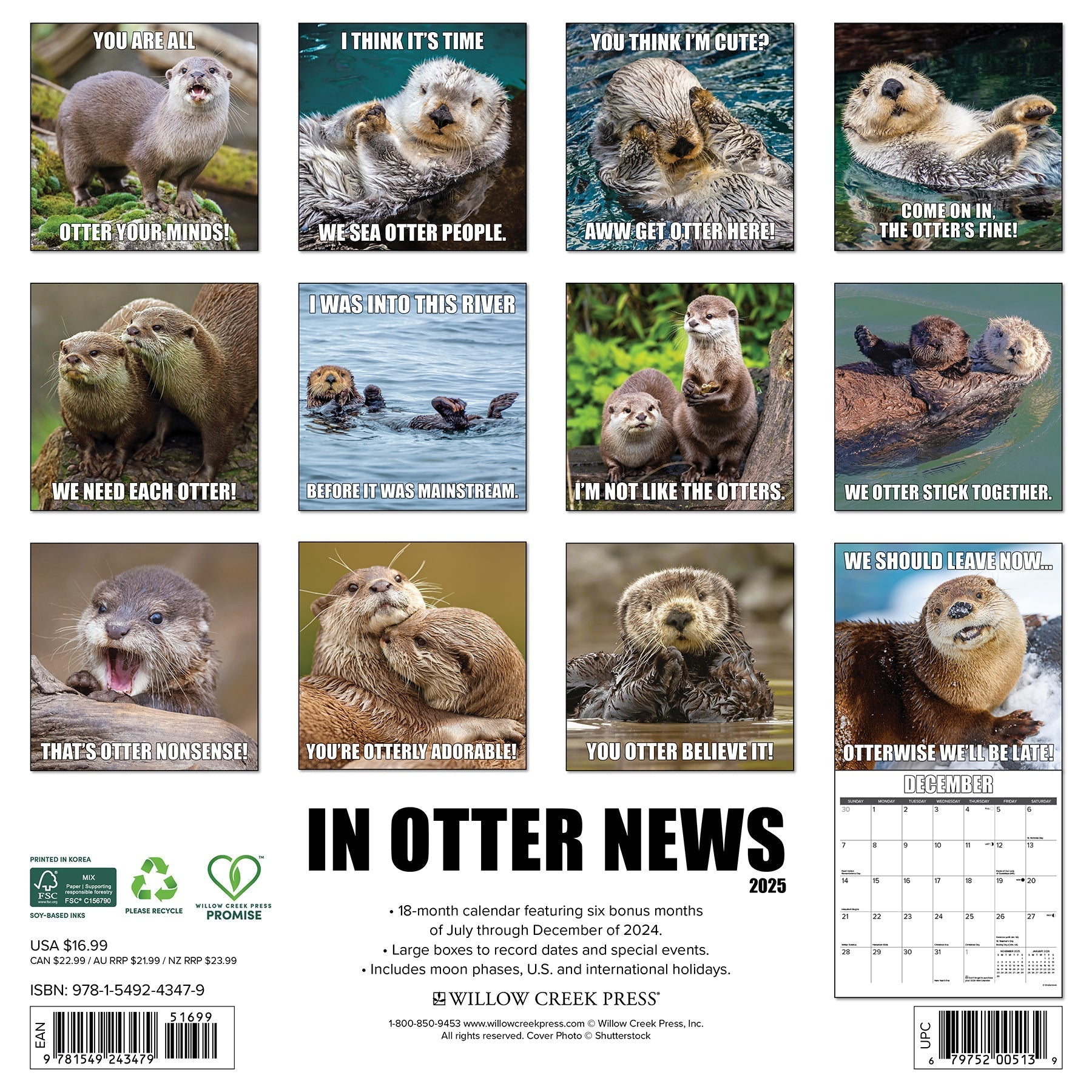 2025 In Otter News - Square Wall Calendar (US Only)