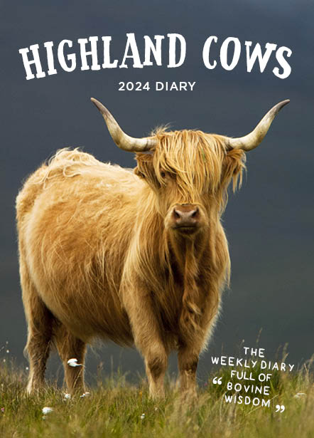 2024 Highland Cows - Bi-Weekly Diary/Planner